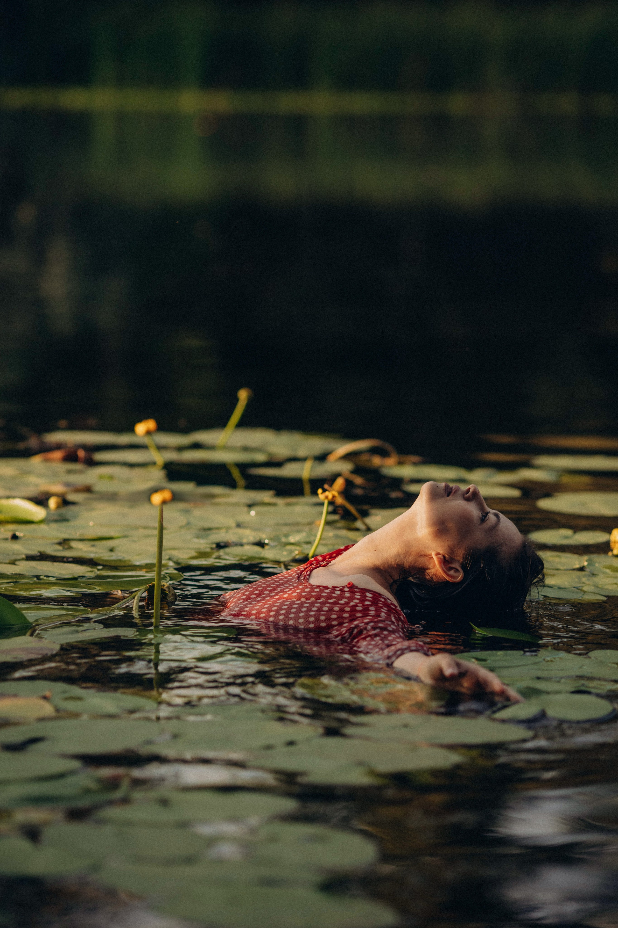 Кувшинки. Главная
