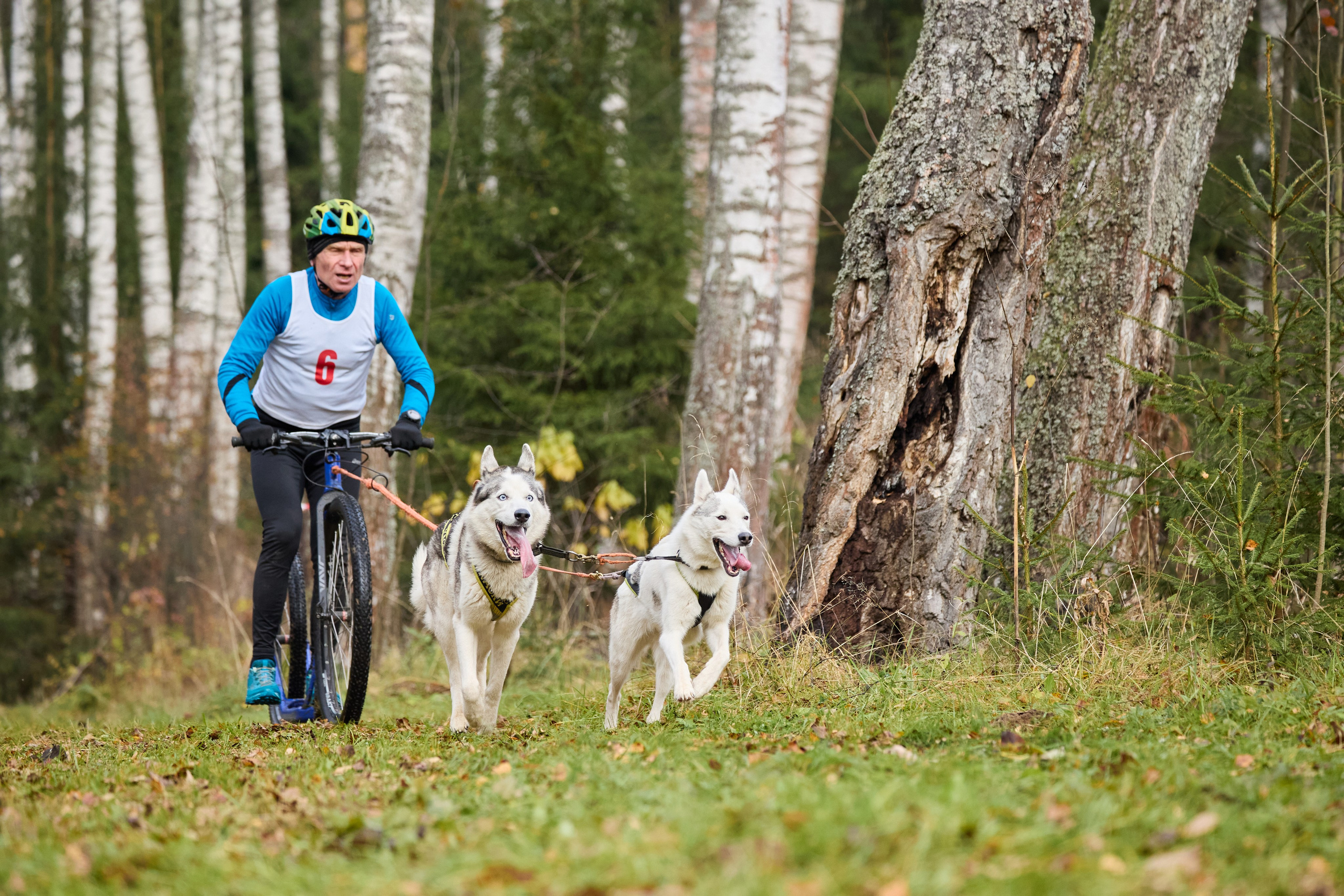 Чемпионат по ЕС Ярославской области. Фотограф Ирина Астор