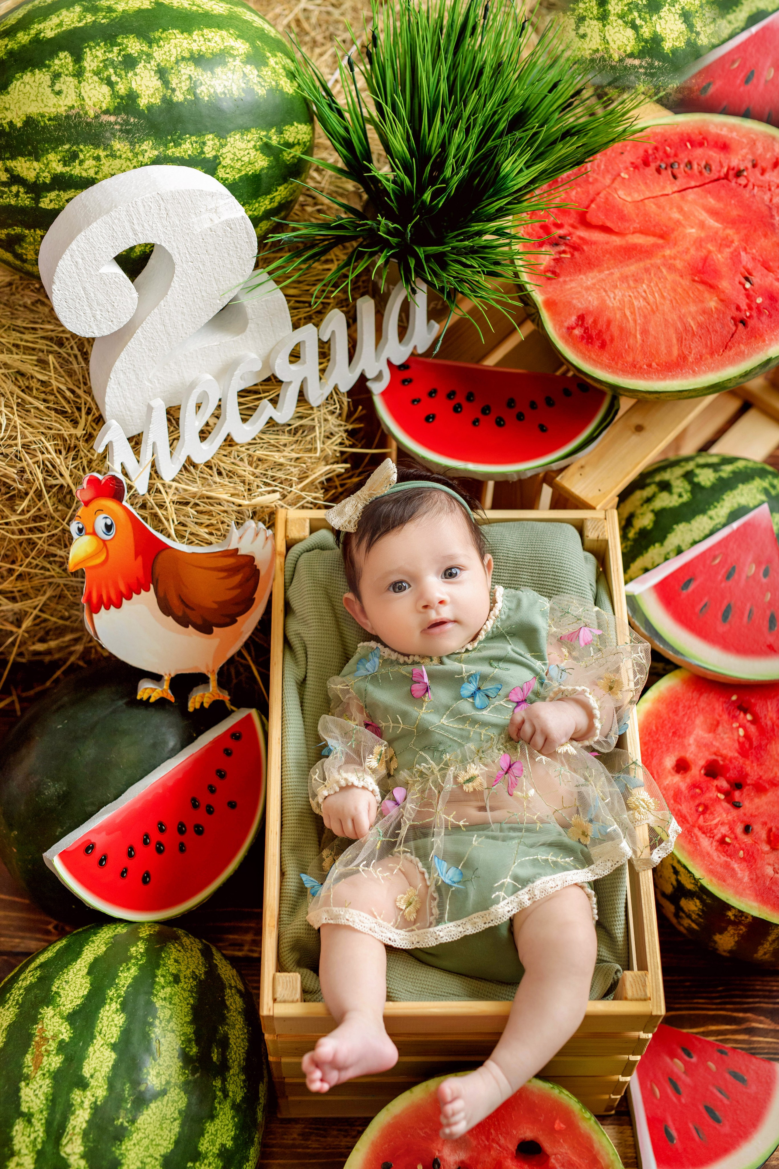 Арбузы. Фотограф Болотова Иветта