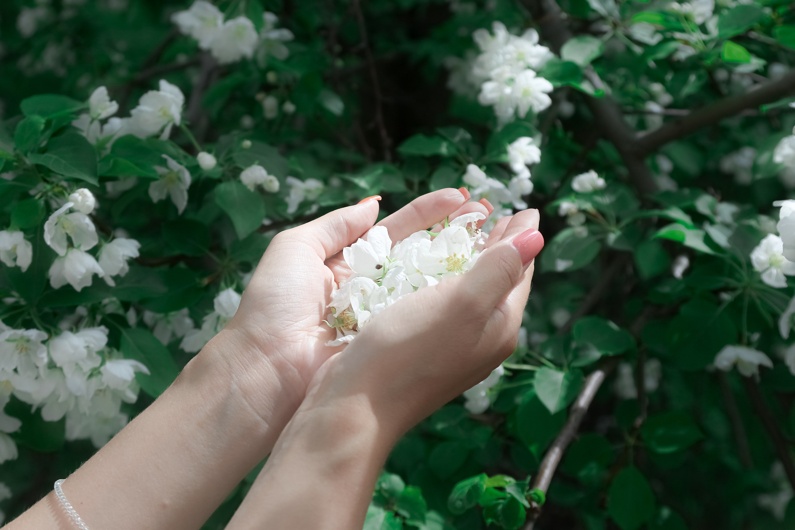 Любовь и цветущая яблоня. Портретный и пейзажный фотограф Никита Павлов