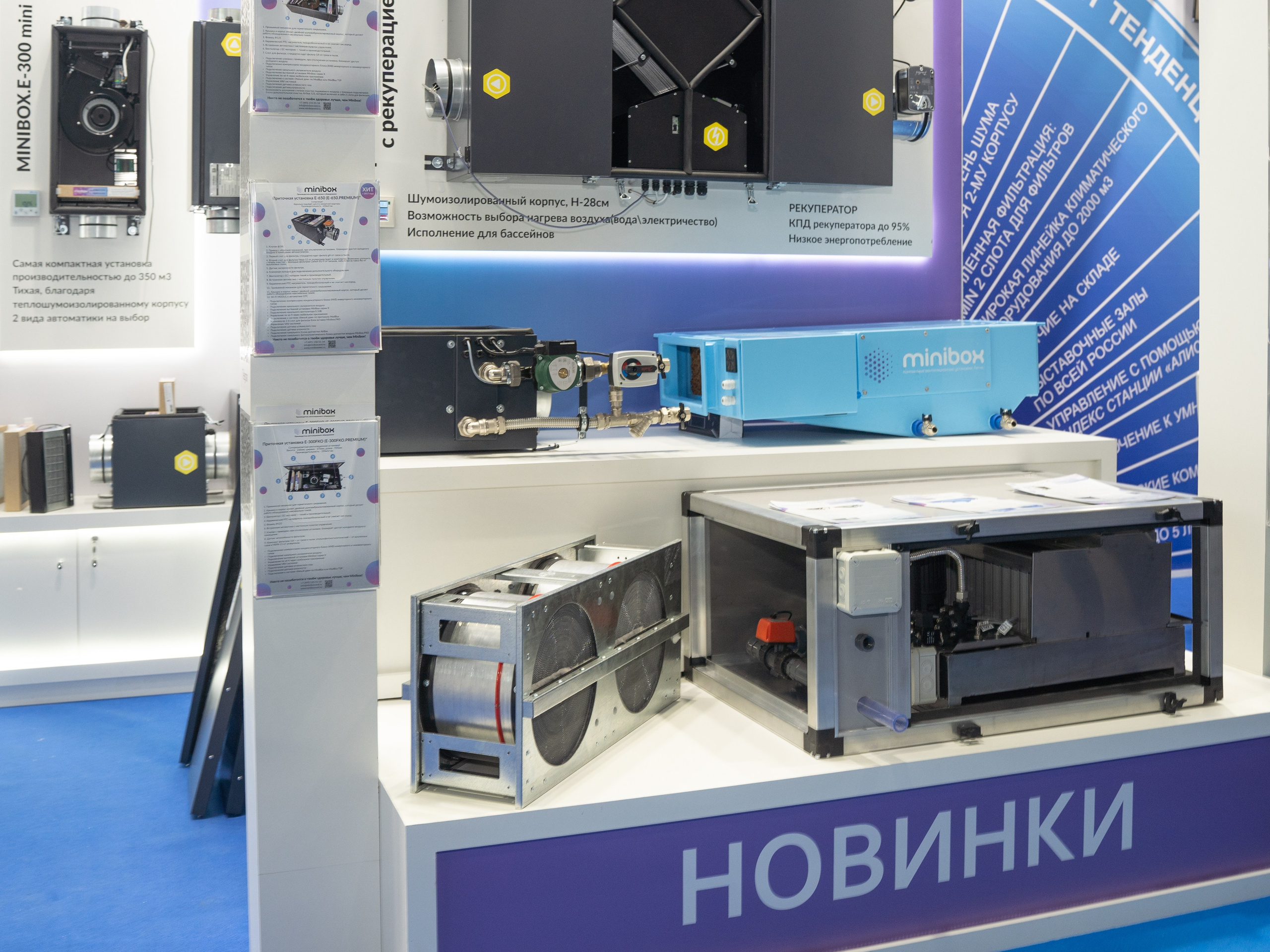 Крокус Вентиляция. Фотограф Зинаида Евдокимова