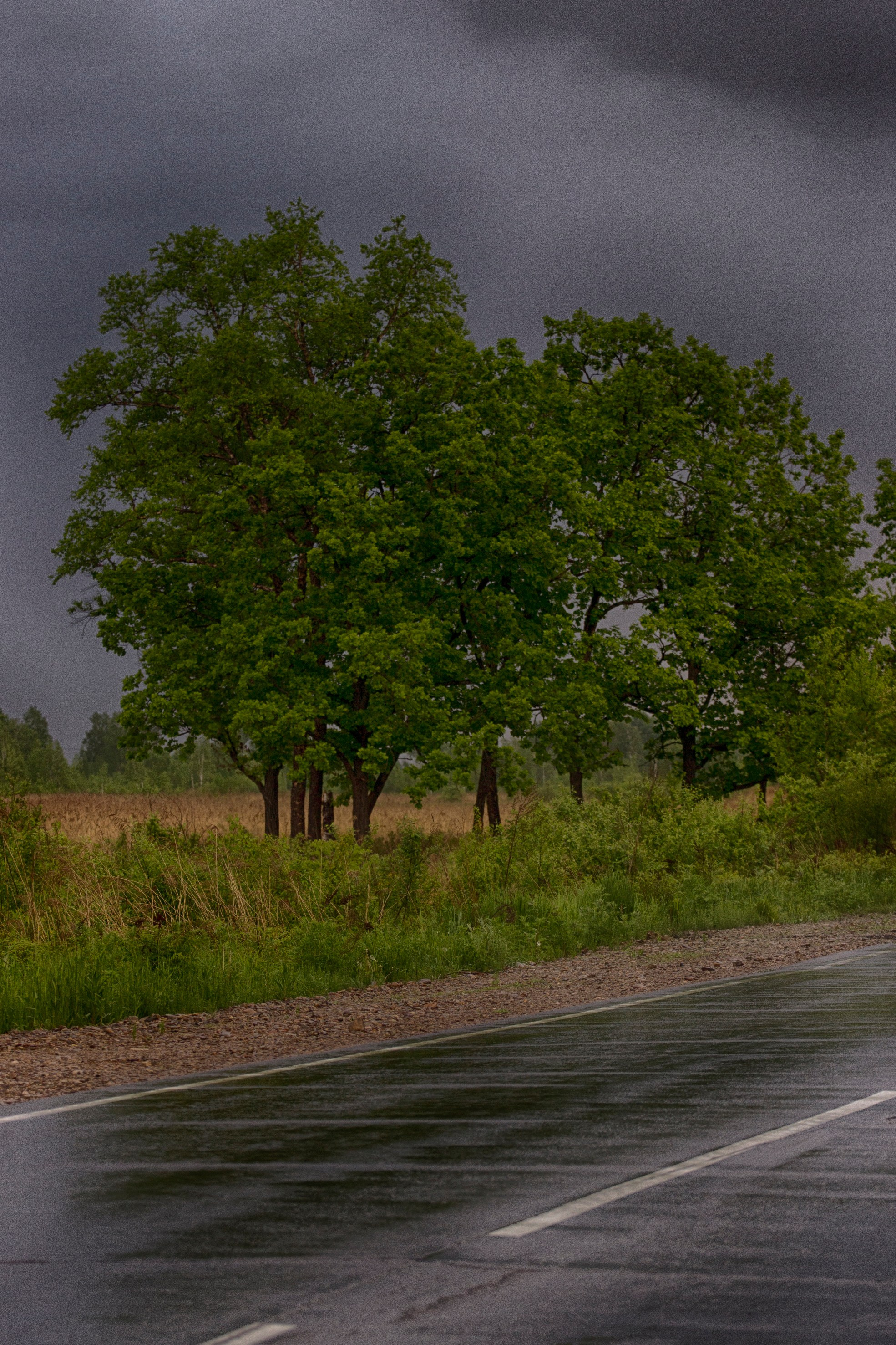 Природа Хабаровского края. Команда фотографов Кристины Ивановой