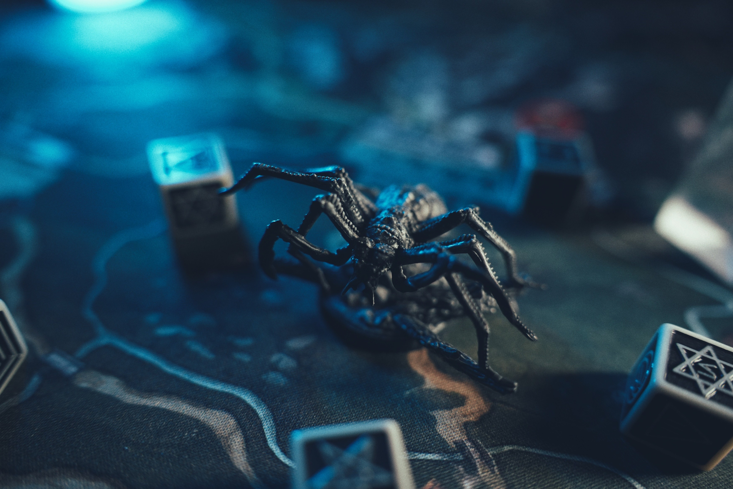 Ведьмак: старый мир. Баев Дмитрий — фотограф из СПБ