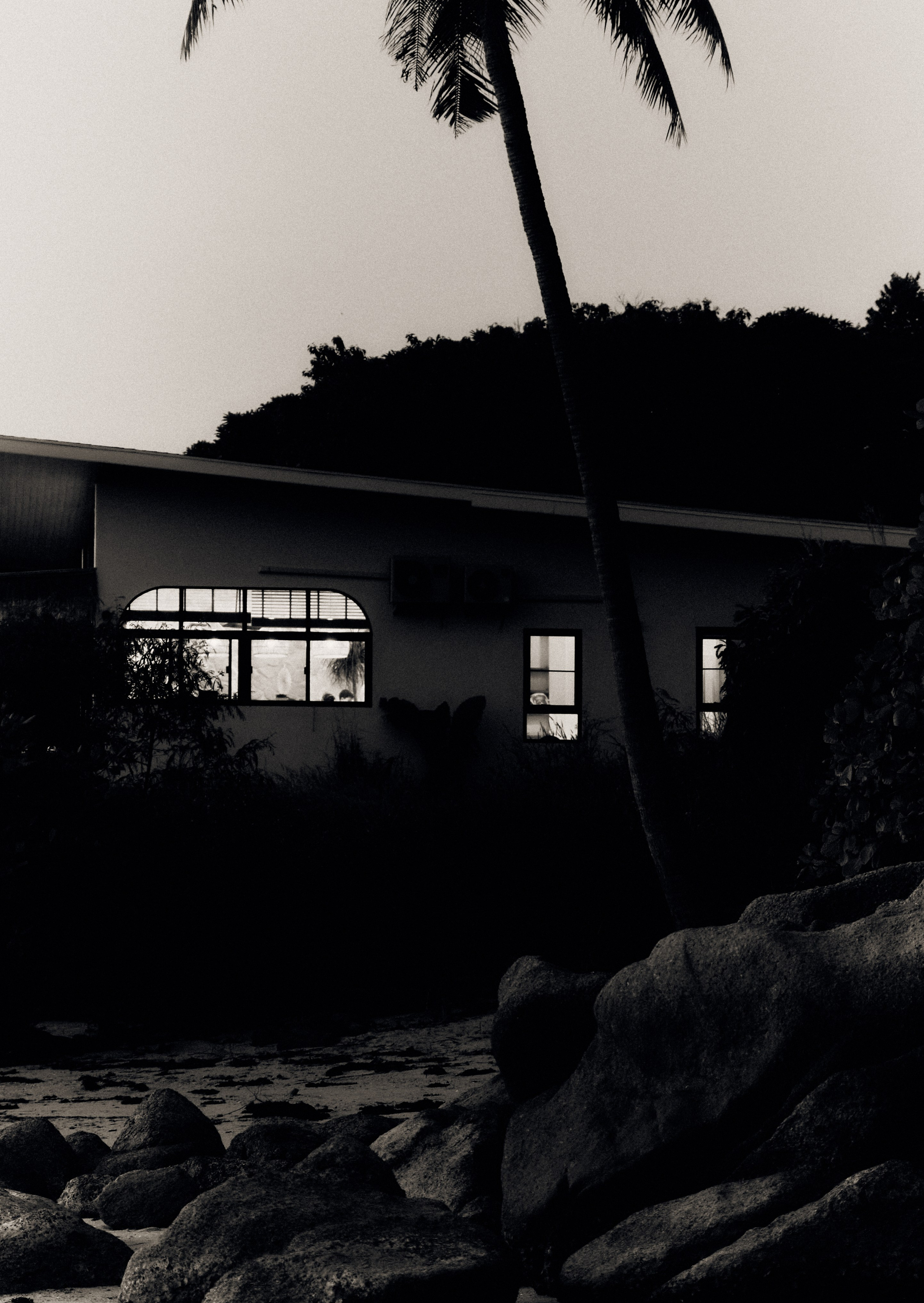 Other. DISEMICHASNOVA