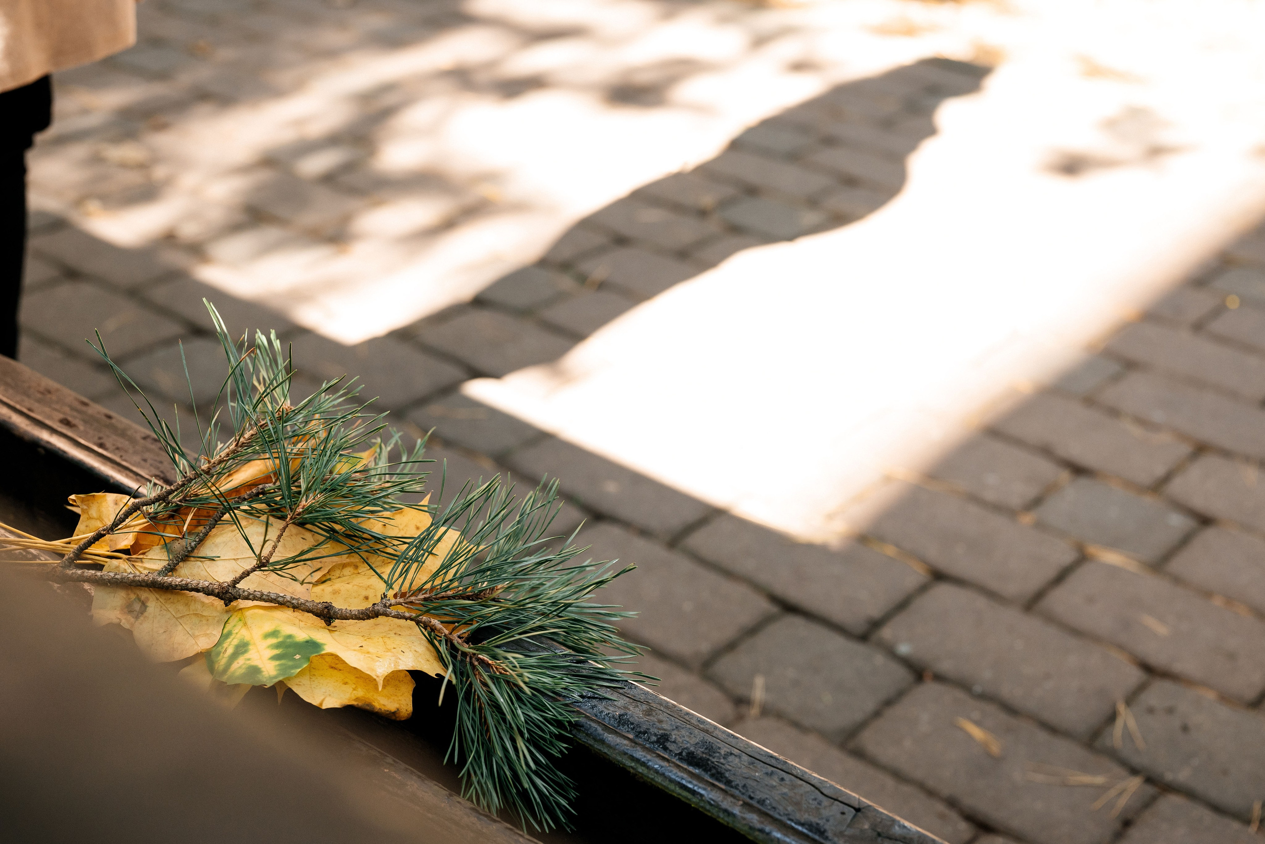 Красивая съёмка в парке Дрозды. Семейный фотограф в Минске Дарья Дреко