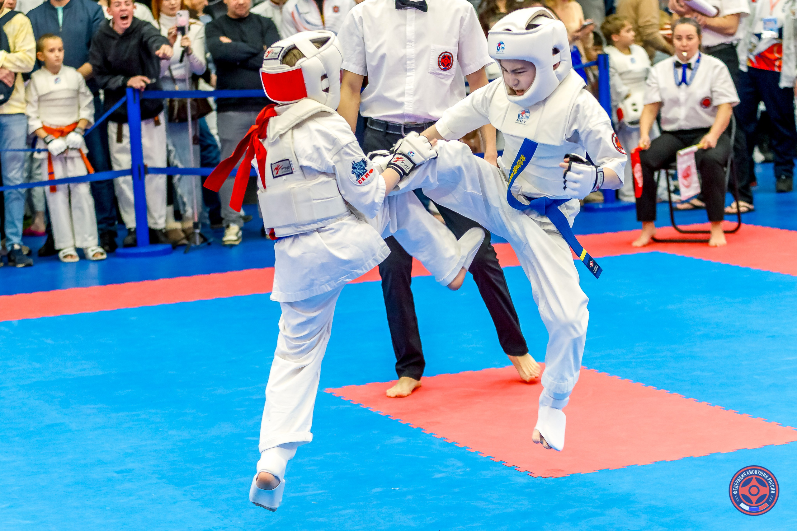 Международный турнир по киокушин «Открытый кубок Seiken». Репортажная съемка в Москве и области. Анималистика