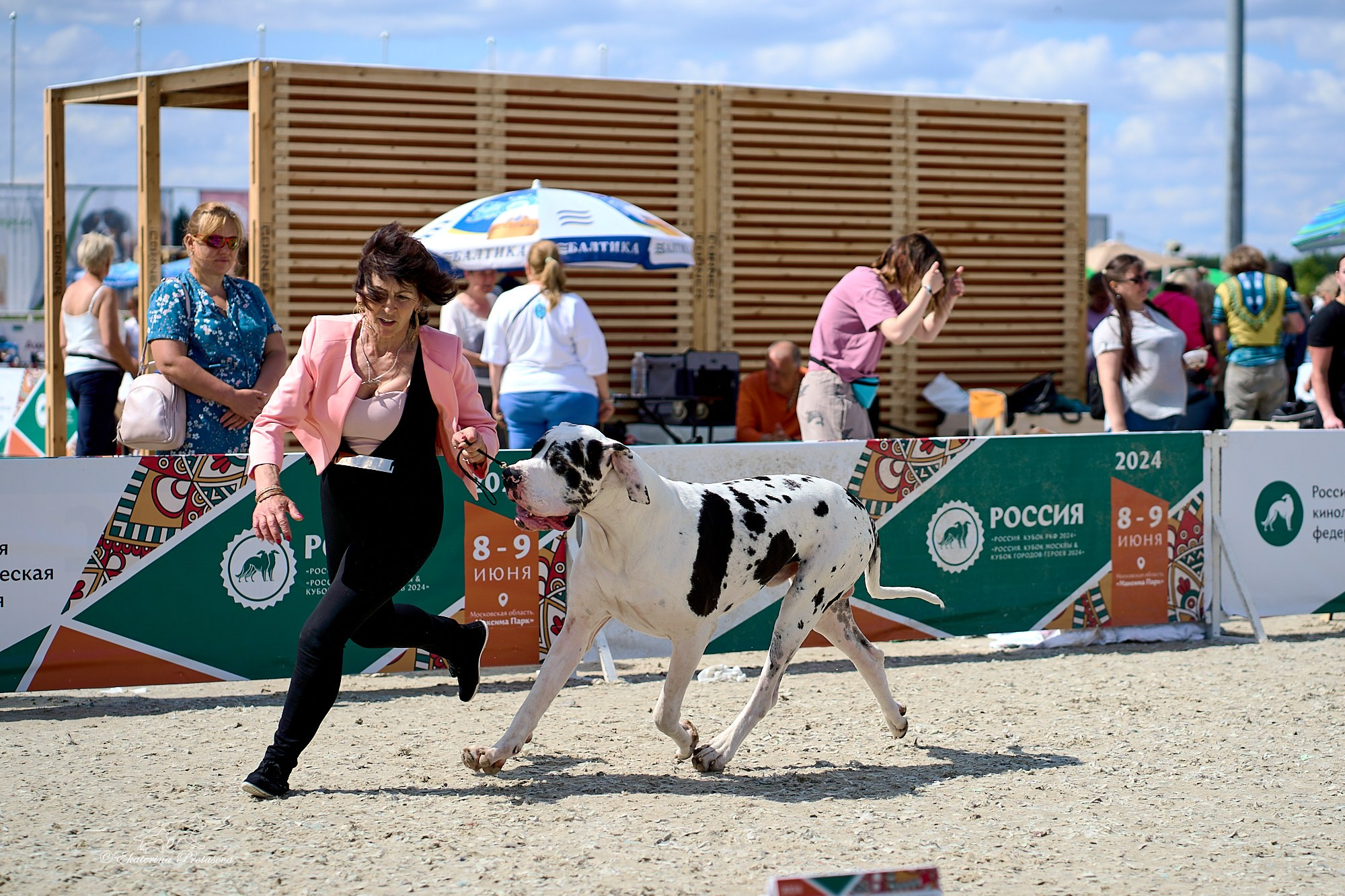 Россия 2024. Фотограф-анималист в Иркутске