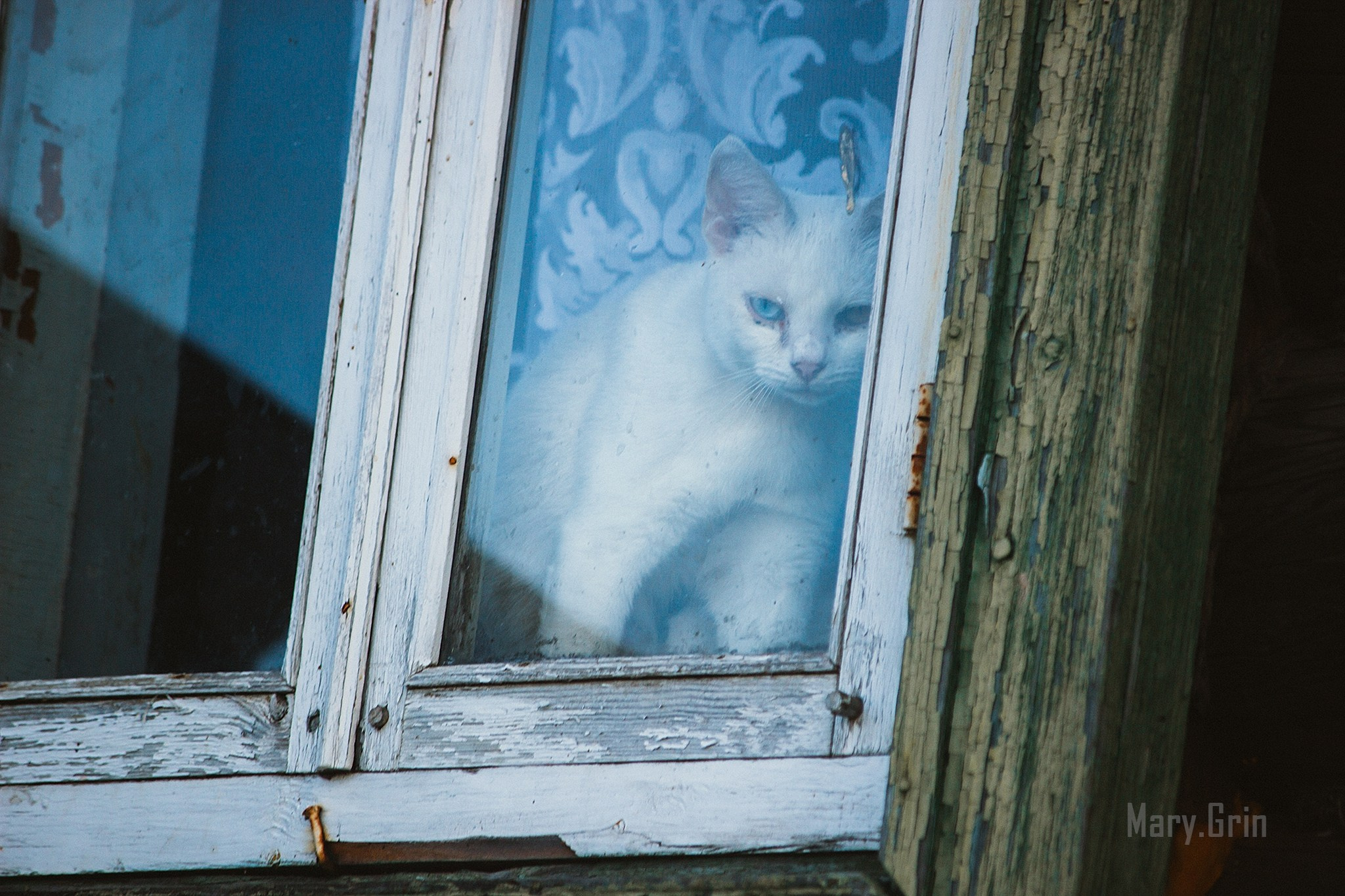 Русская деревня. Детский и семейный фотограф, фотограф мероприятий Нижний Новгород