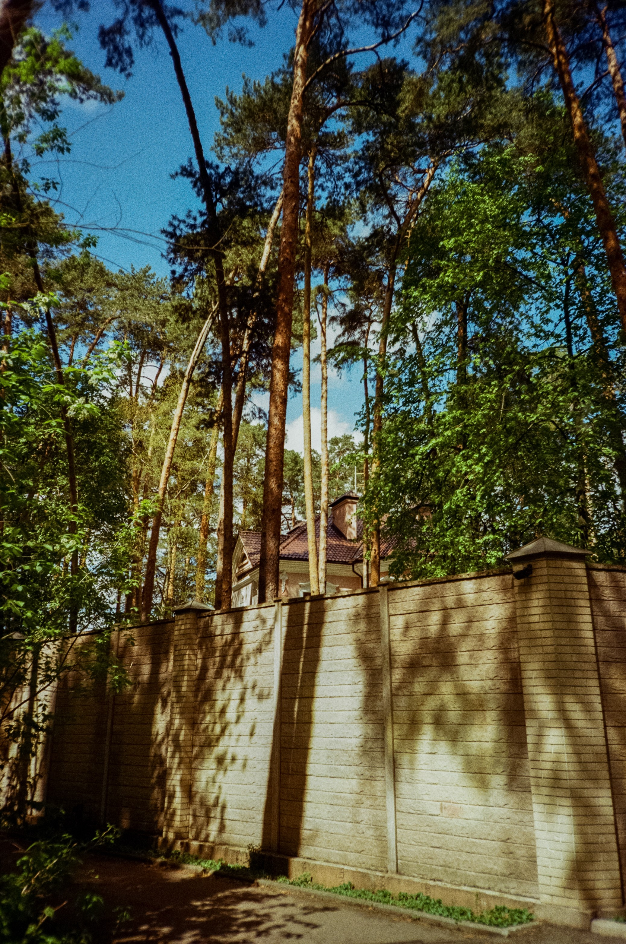 Ricoh R1 | Kodak ProImage 100 | 6 мая 2025 года СерБор