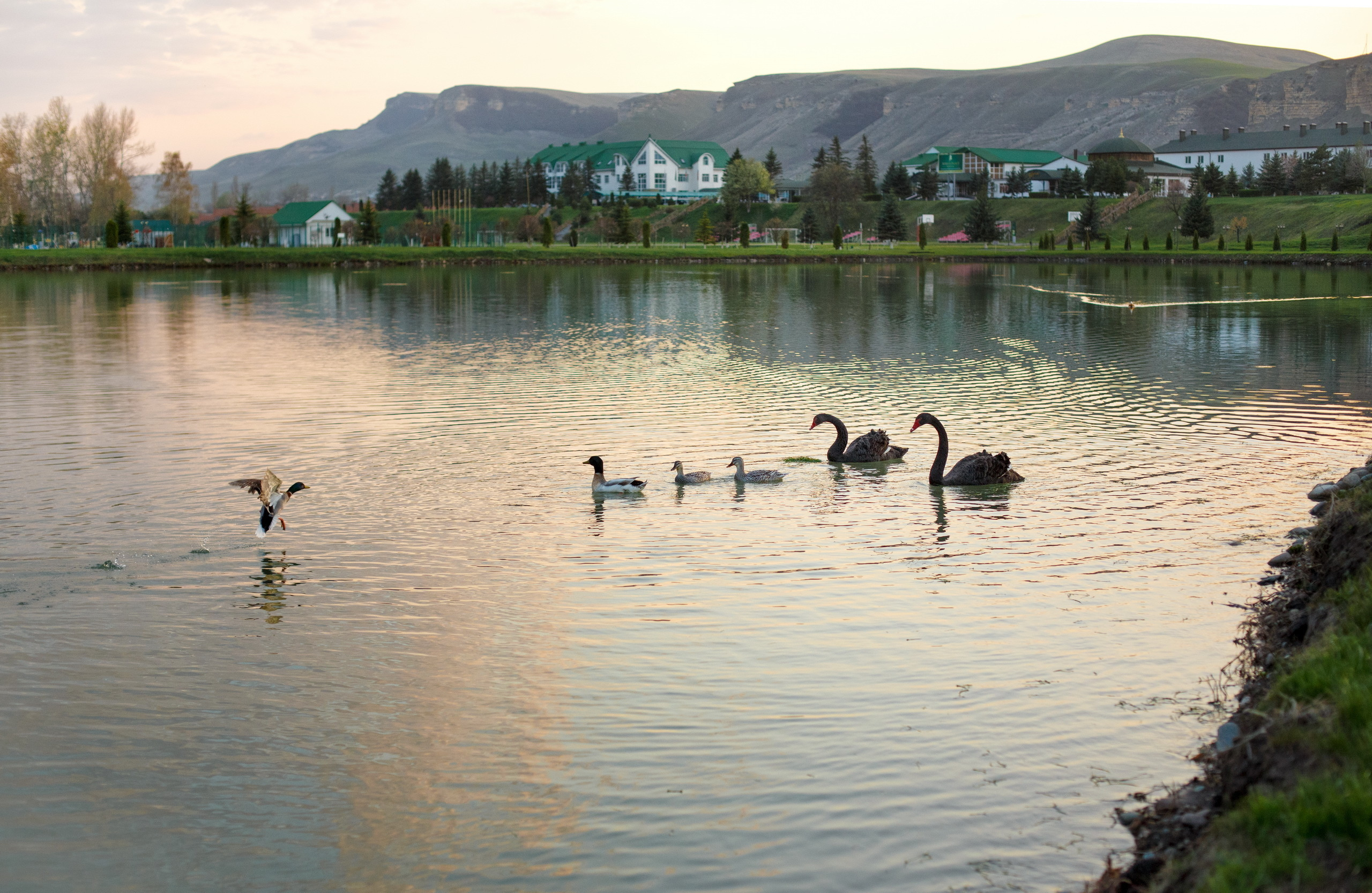 Отель Адиюх Пэлас 4*. Профессиональный фотограф в Ростове-на-Дону Станислав Бурдон