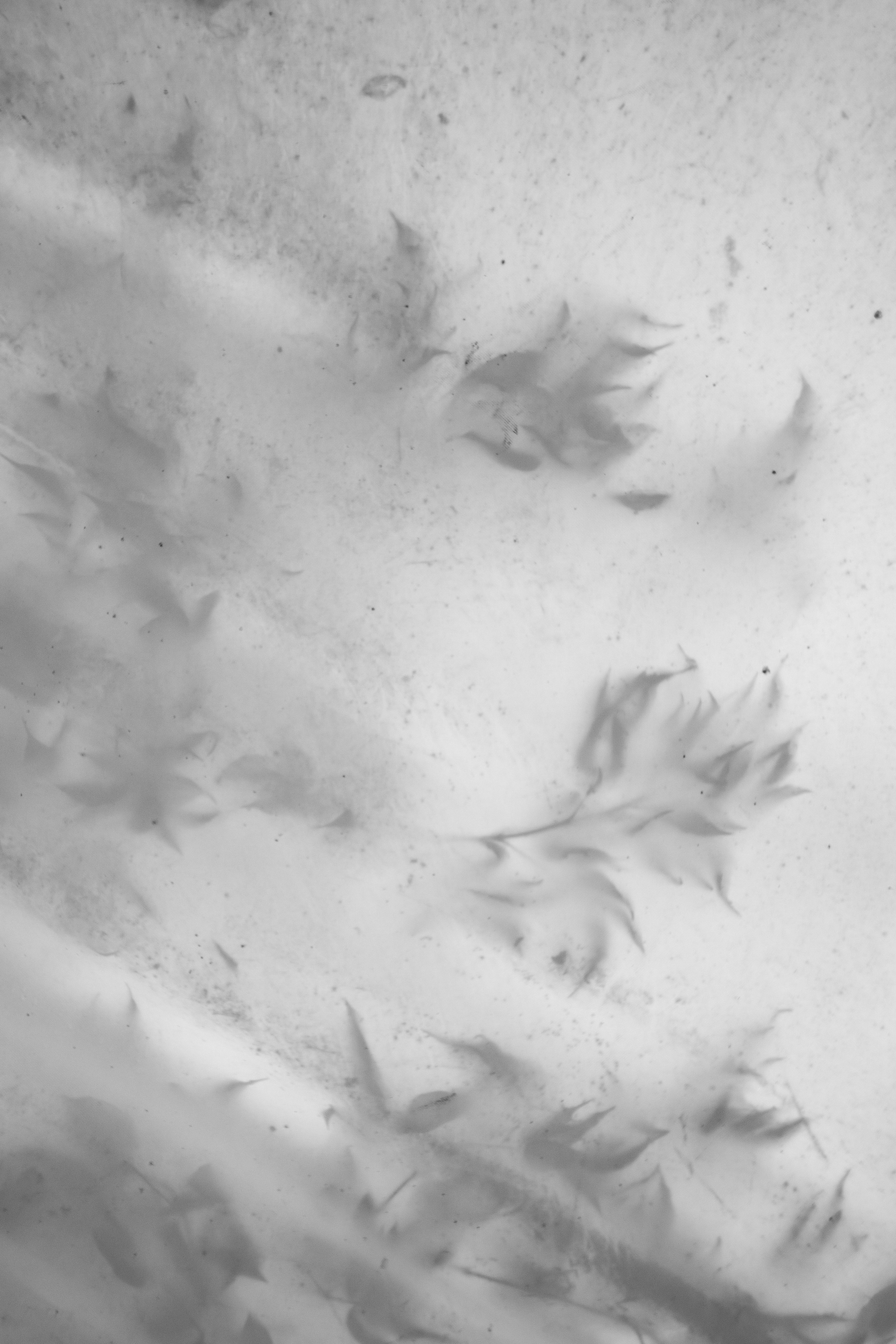 10.08.2023 Дмитрий и Виктория. Фотограф в Красноярске