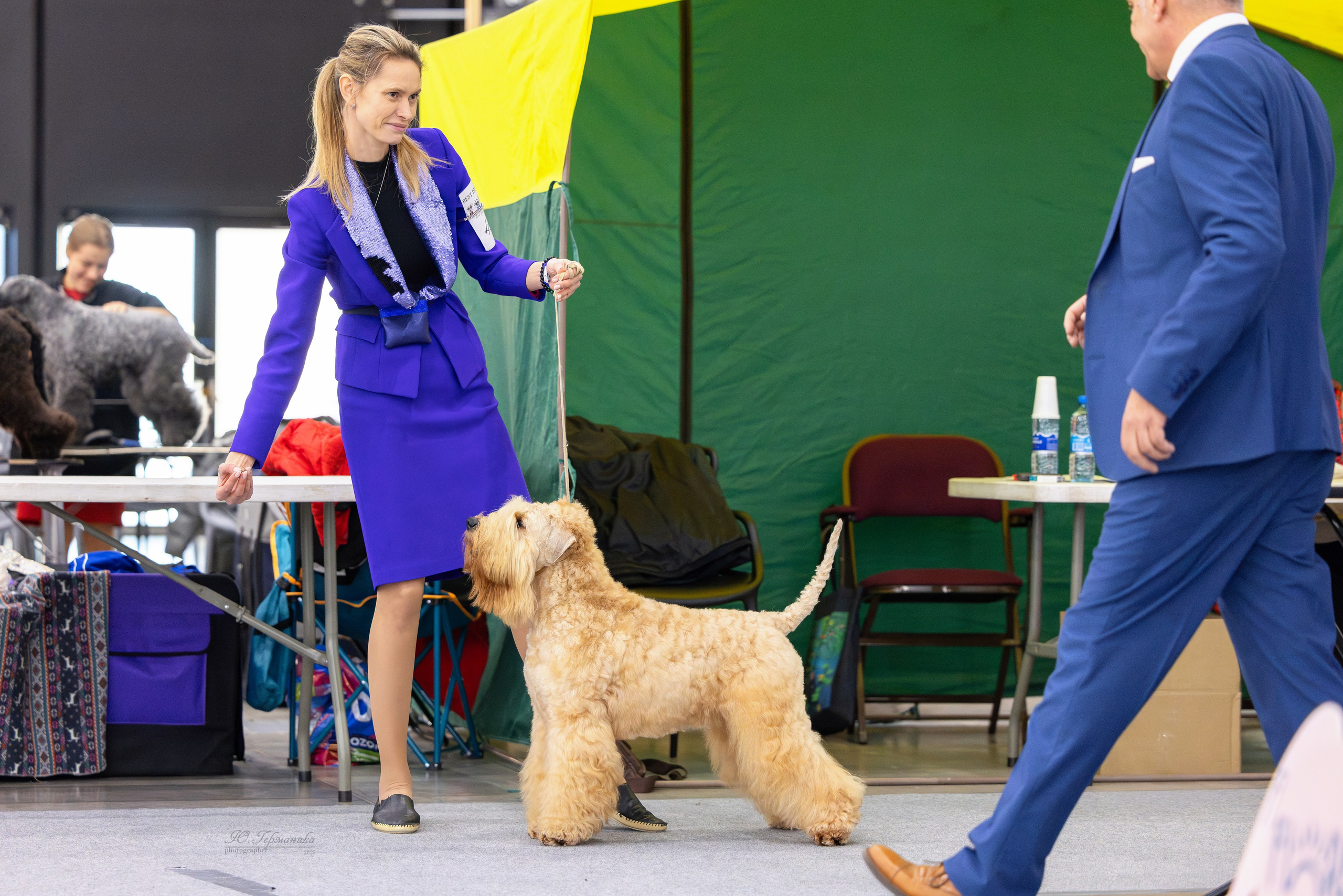 Питер 12-13.12.2025. Фотограф-анималист Юлия Германика