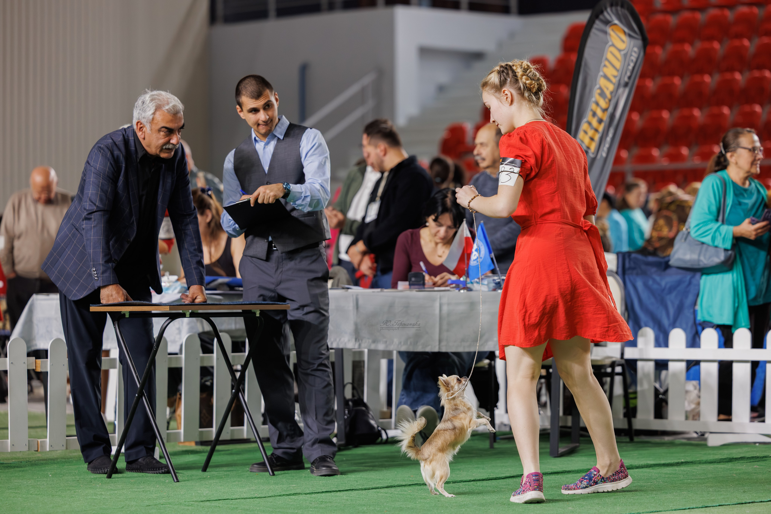 Телави 11-12.10.2025. Фотограф-анималист Юлия Германика