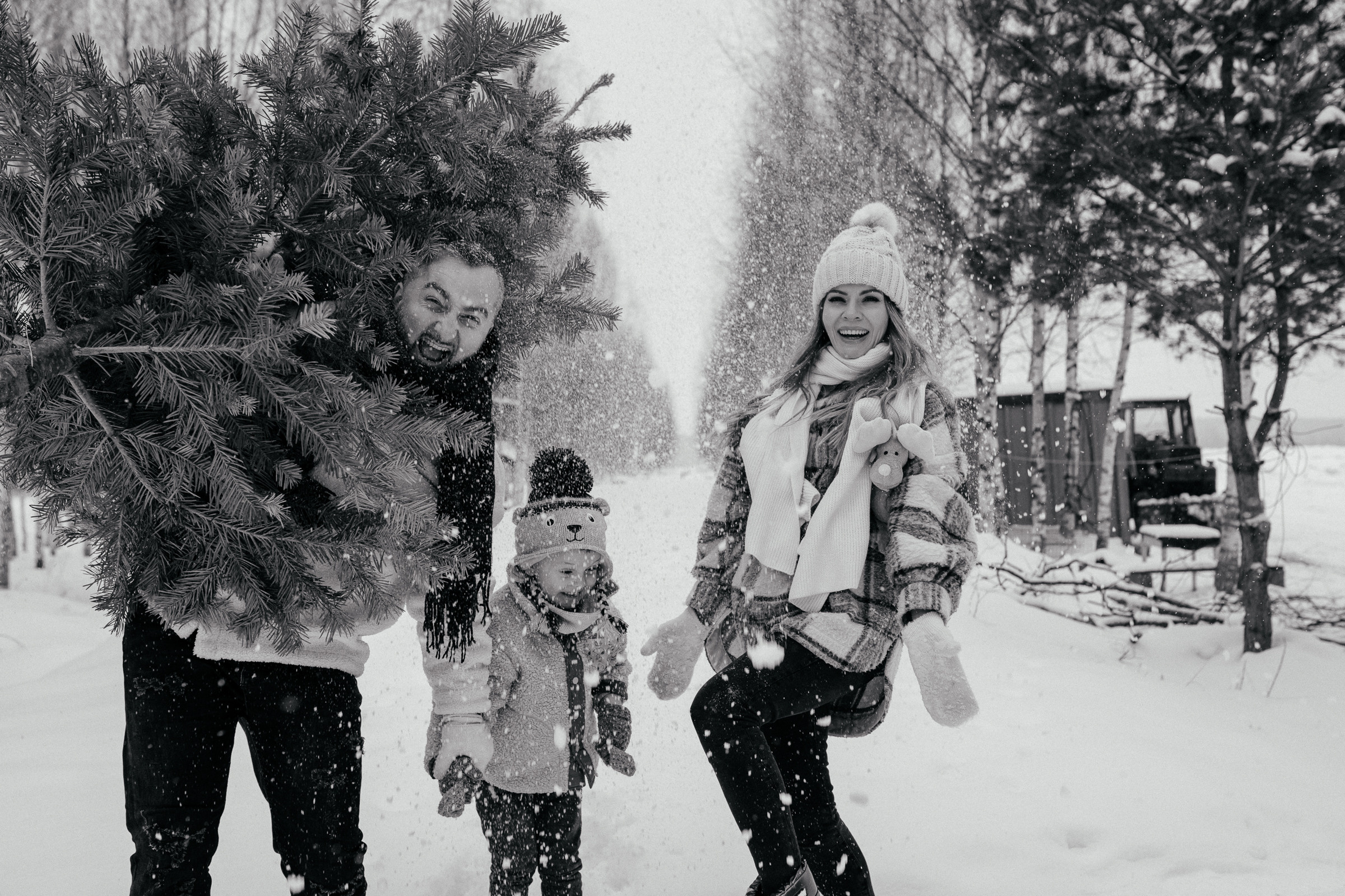 Семья Гоголадзе