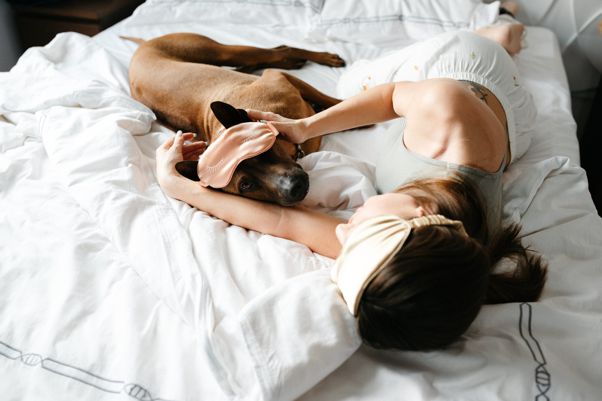 Оксана и Зевс. Фотограф анималист в Москве Ольга Агушева