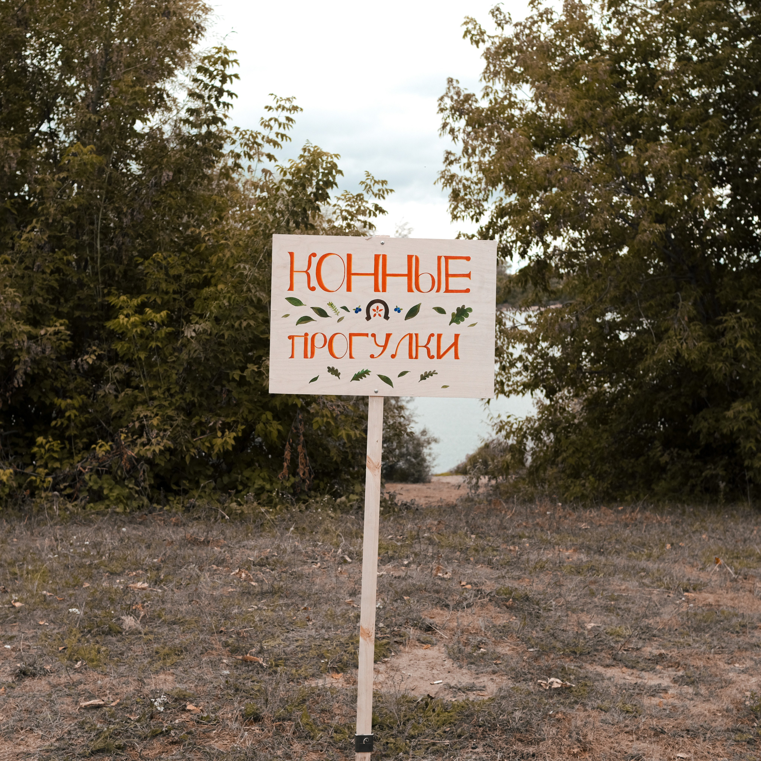 Эко-фестиваль АртЛуга 2022. LIYALEE PHOTO