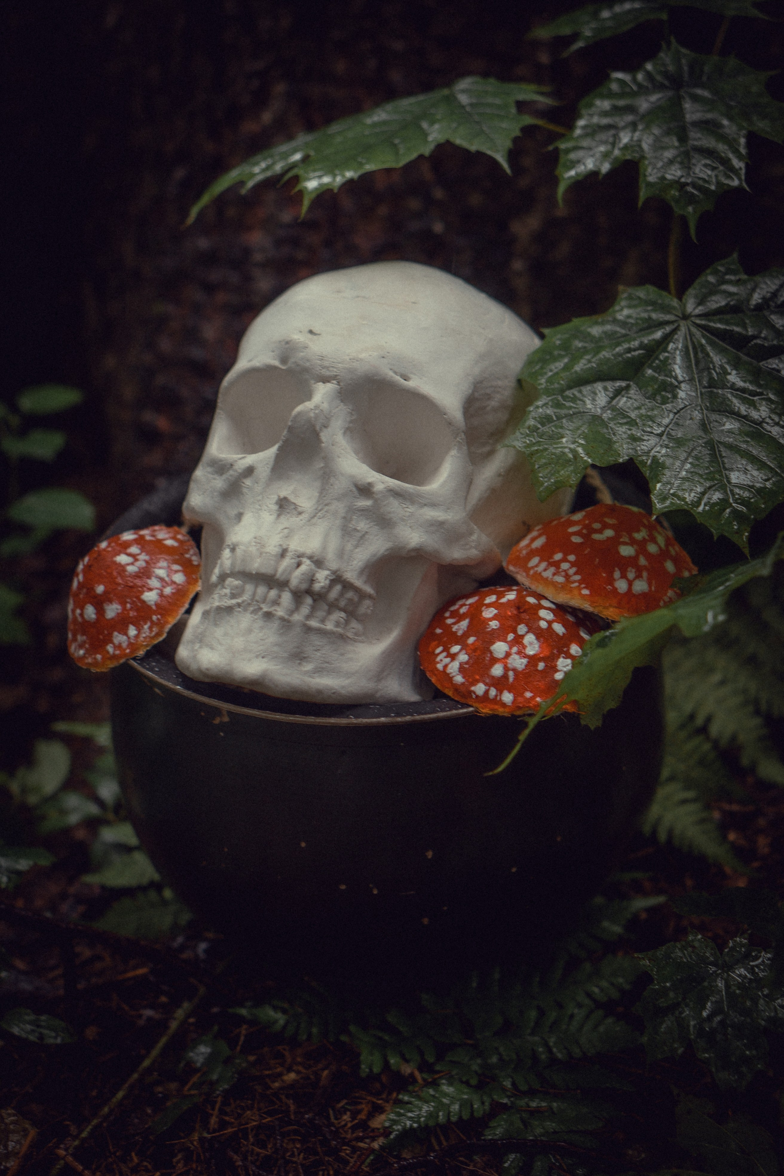 Баба-Яга. Художественный фотограф Салаева Алина