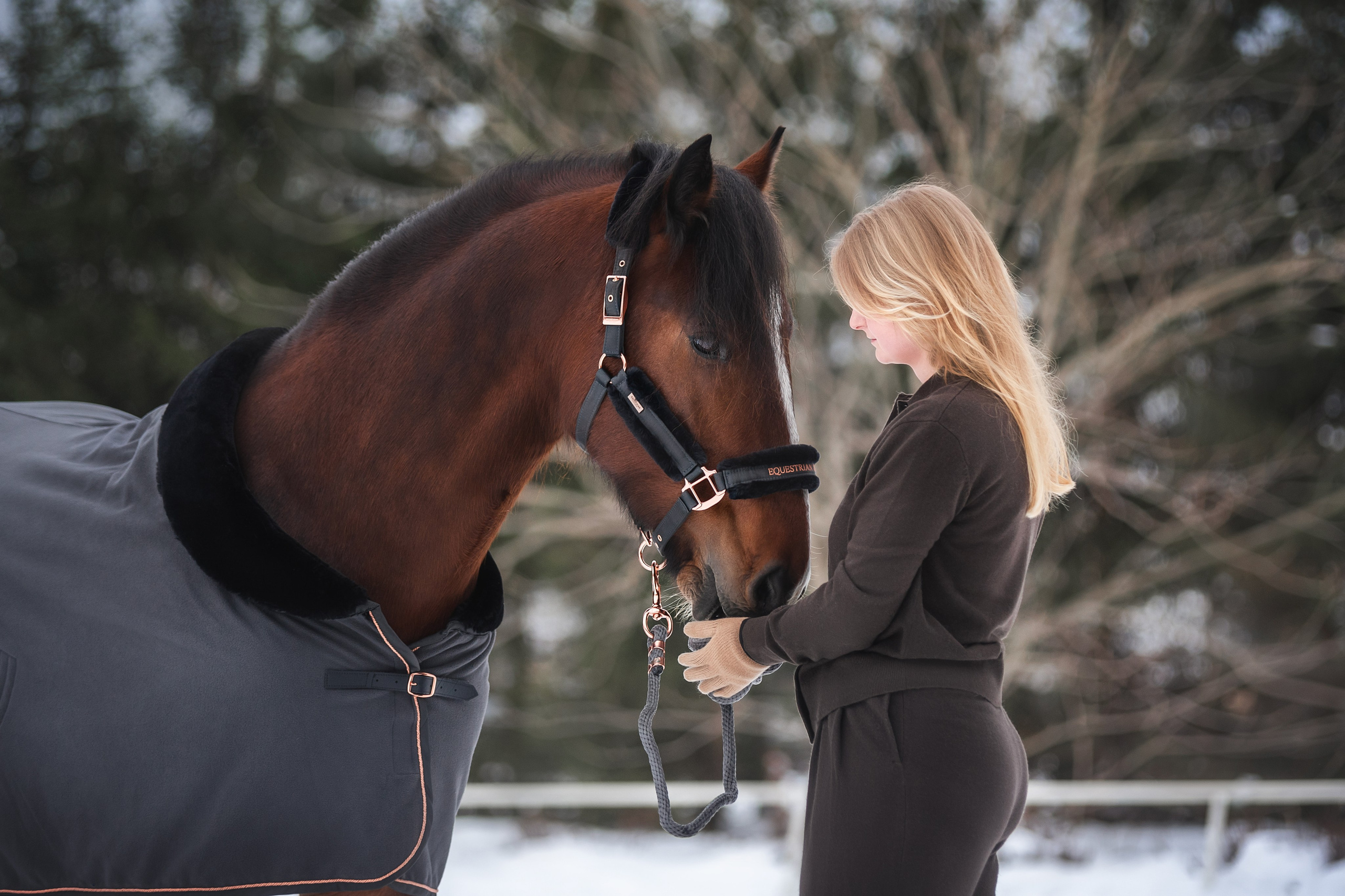 Новогодний Волконский. Конный фотограф Куракина Дарья • Фотосессии с лошадьми