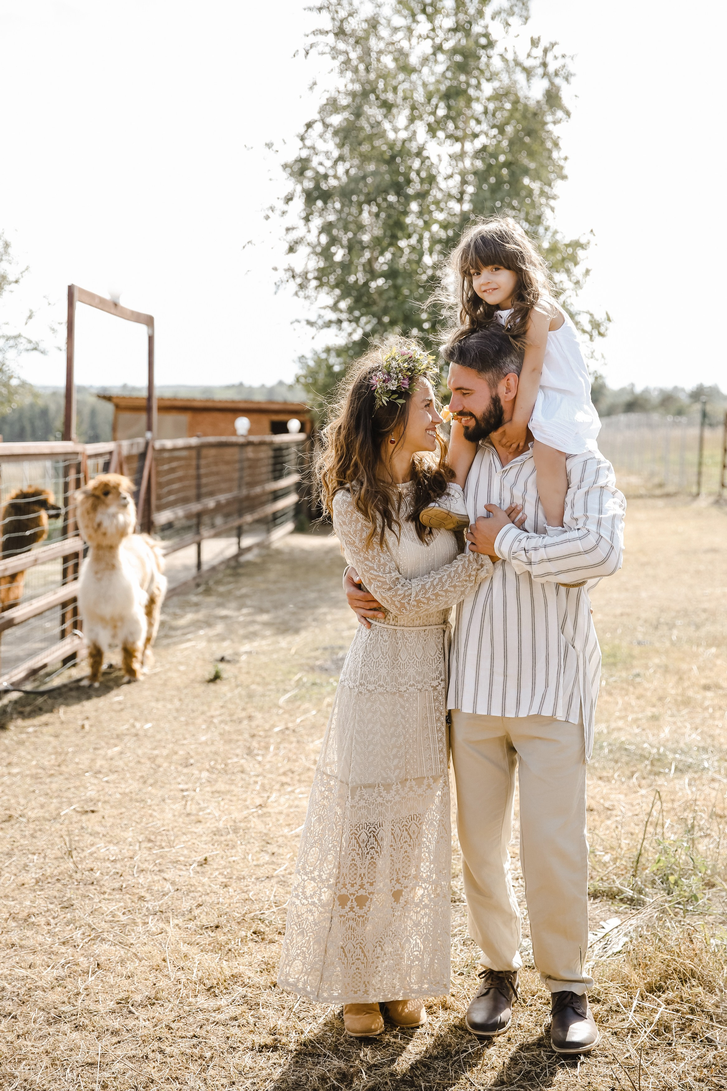 Ферма Альпаков Подмосковье. Фотограф и видеограф Анна Домашенко