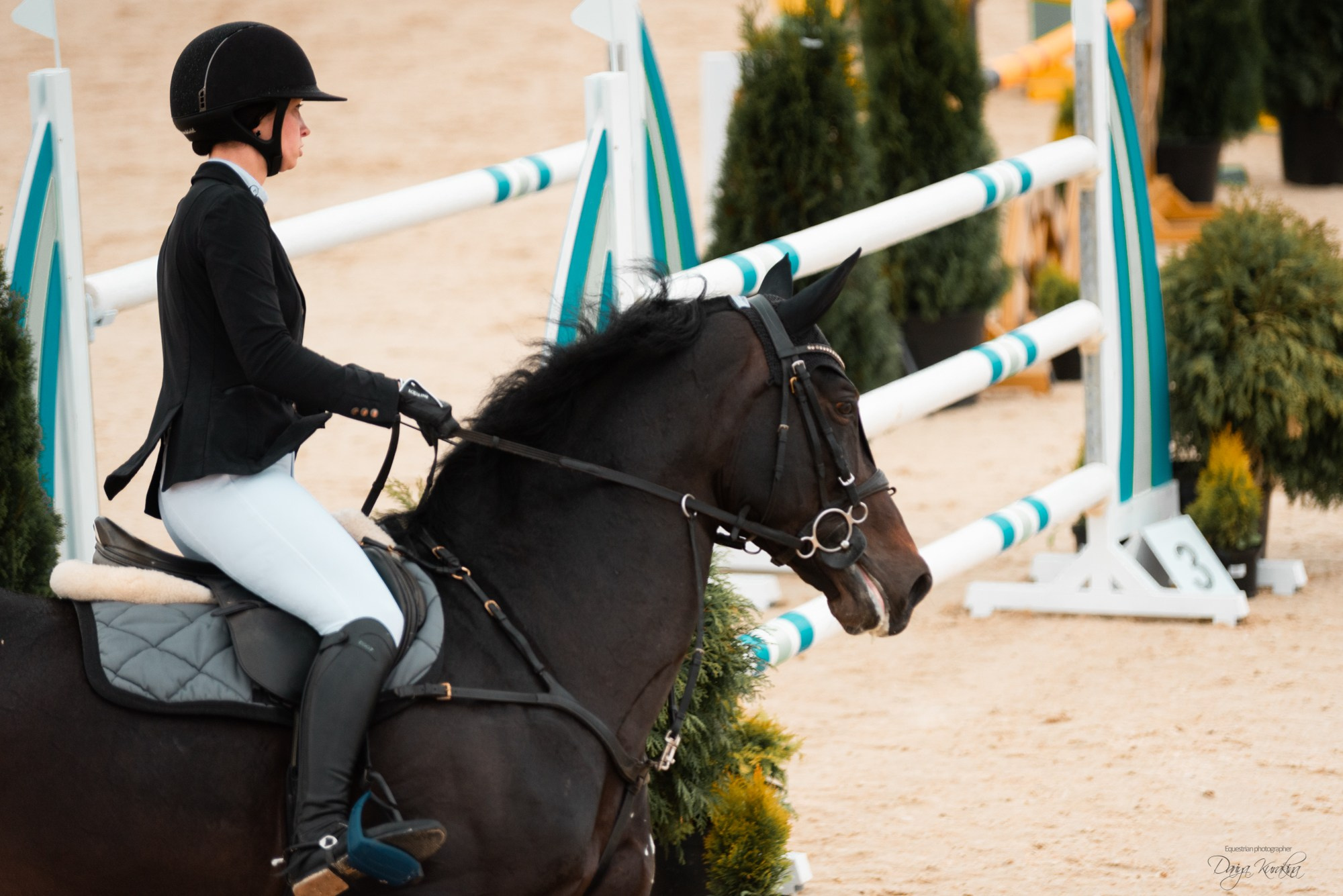 BITRIVER CUP 2023. Конный фотограф Куракина Дарья • Фотосессии с лошадьми