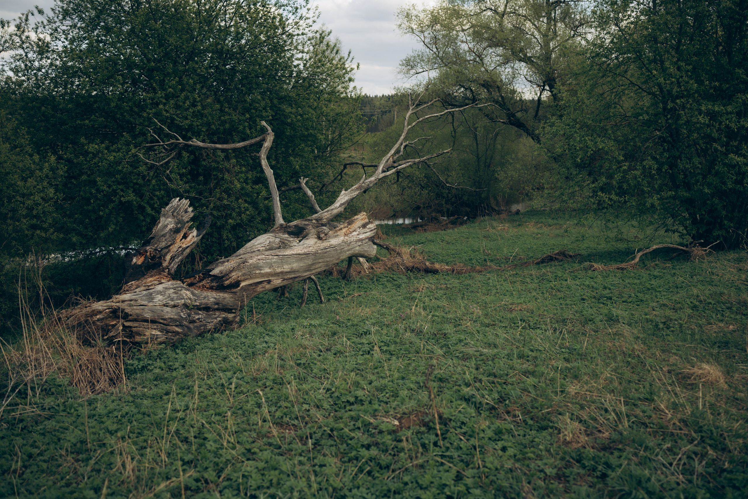 Istra. Женский фотограф Истра