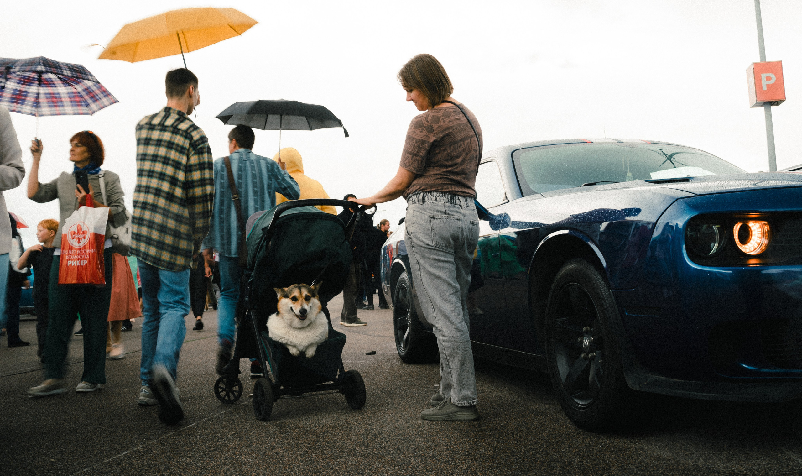 American Truck Show 2024. Платонов Олег — фотограф Санкт-Петербург