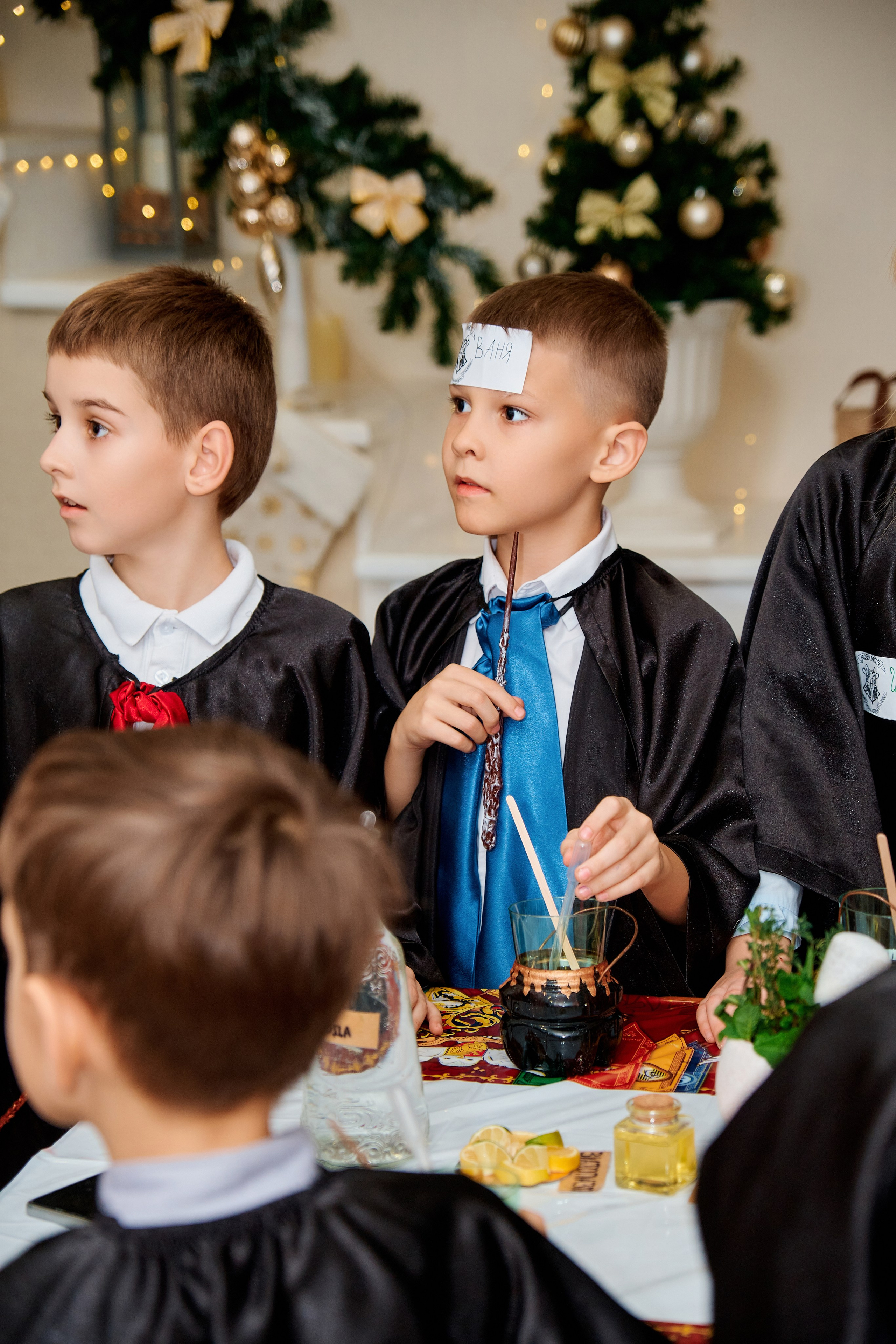 День рождения стиле Гарри Поттер. Фотограф Таганрог Анна Трайжон