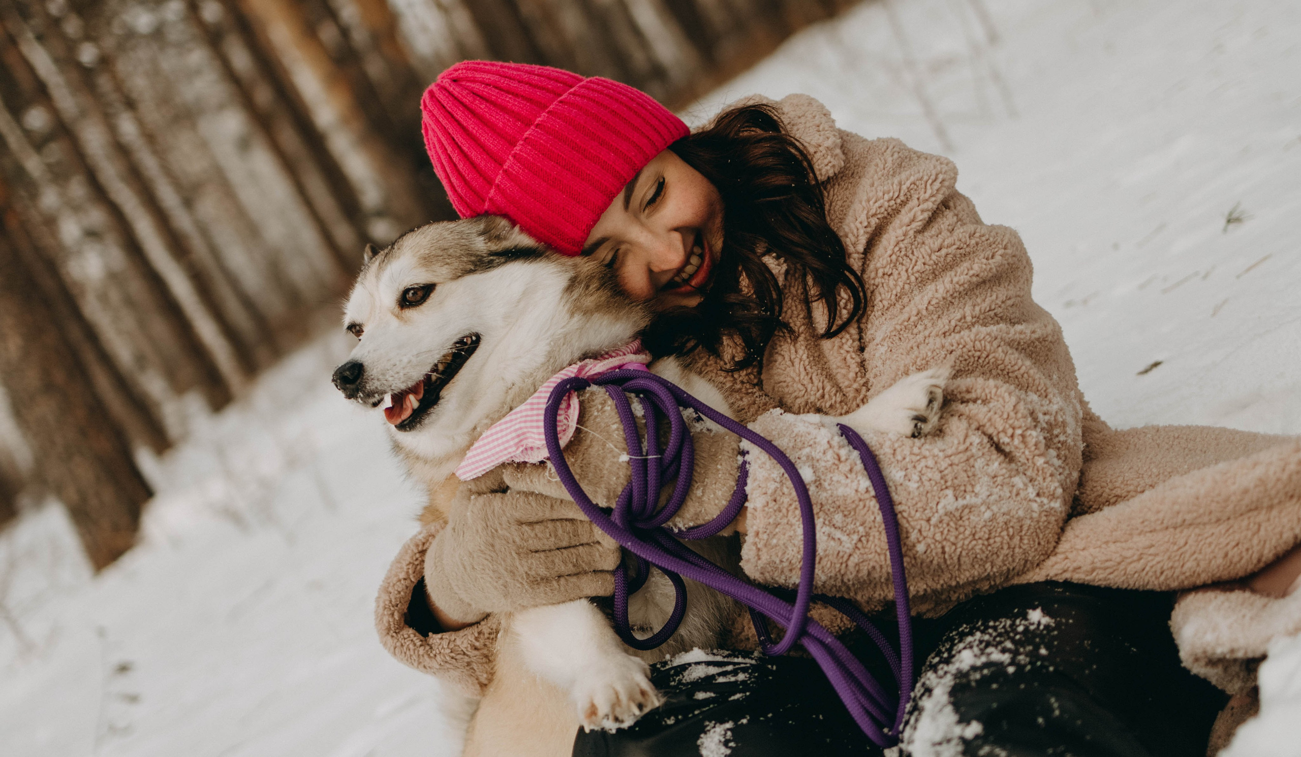 Варвара и Шелби. Фотограф-анималист в Екатеринбурге | Кристина