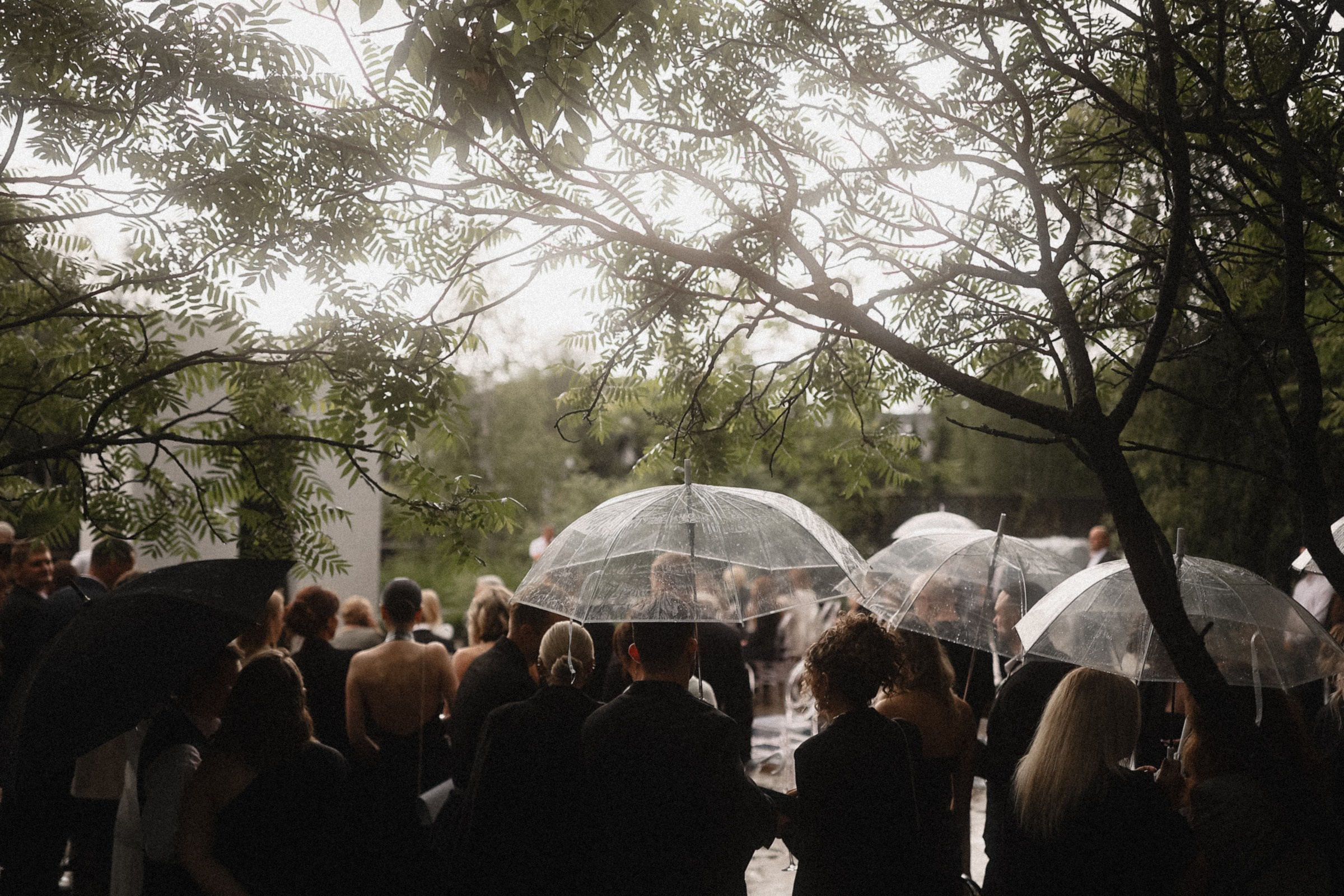 Эдельвейсы • серия собирается'25. Свадебный и семейный фотограф Москва, Спб, Крым Игорь Сазонов