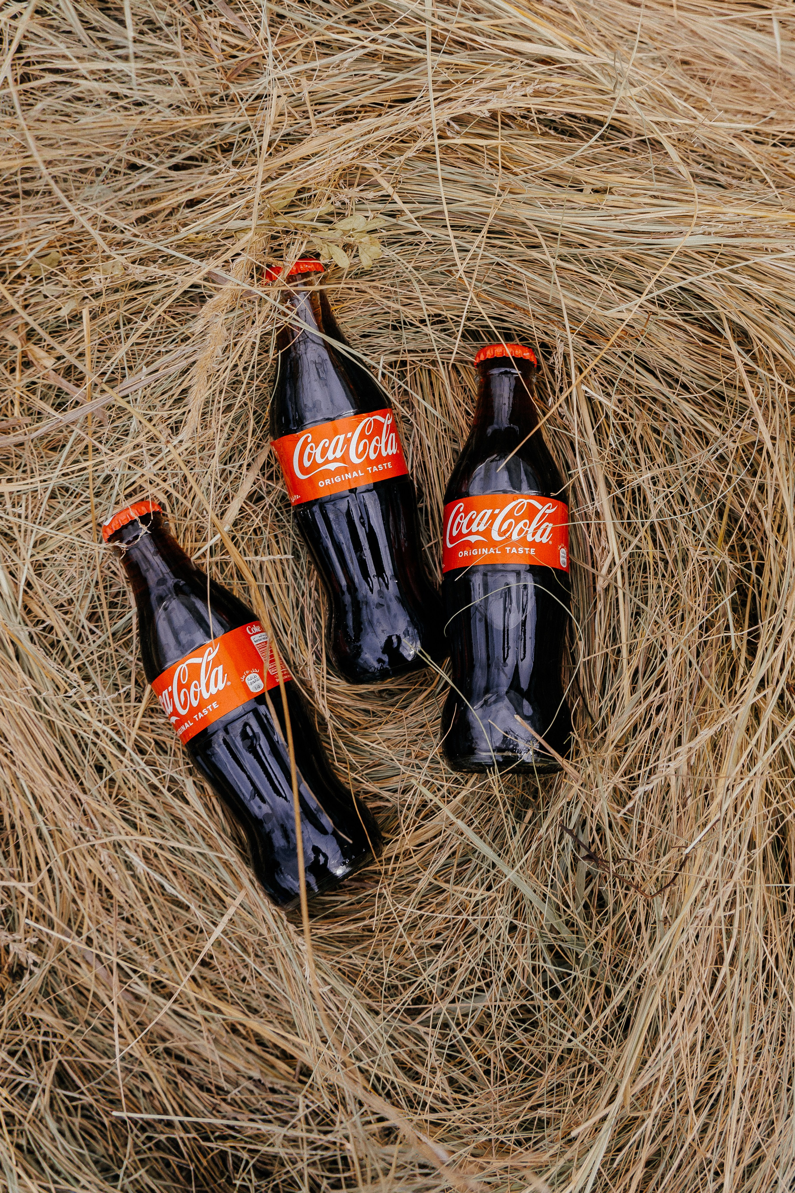 KSK Raid. Фотограф Иван Гуляев