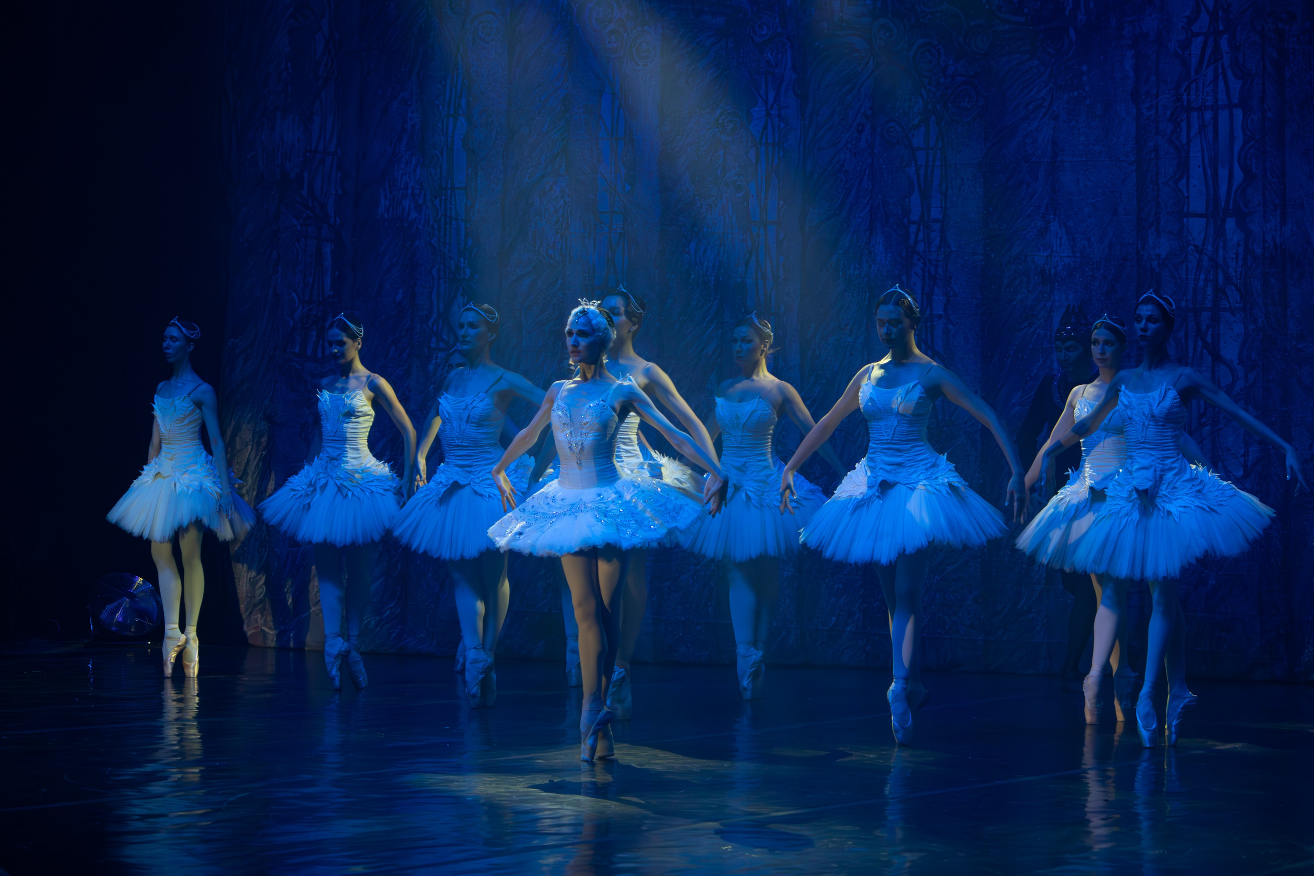 Лебединое озеро. Имперский русский балет. Фотограф в Нижнем Новгороде Екатерина Хисматулина
