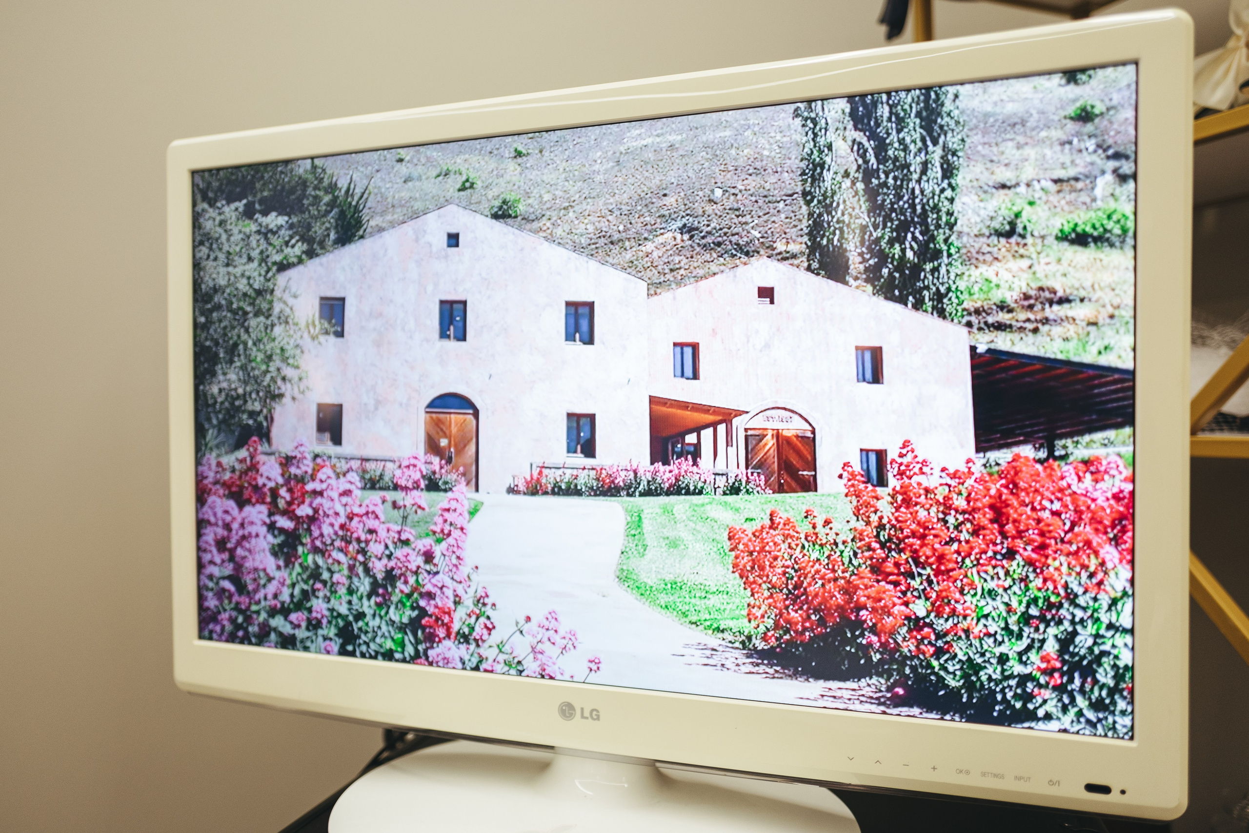 Degusteishen wine 2024. <3