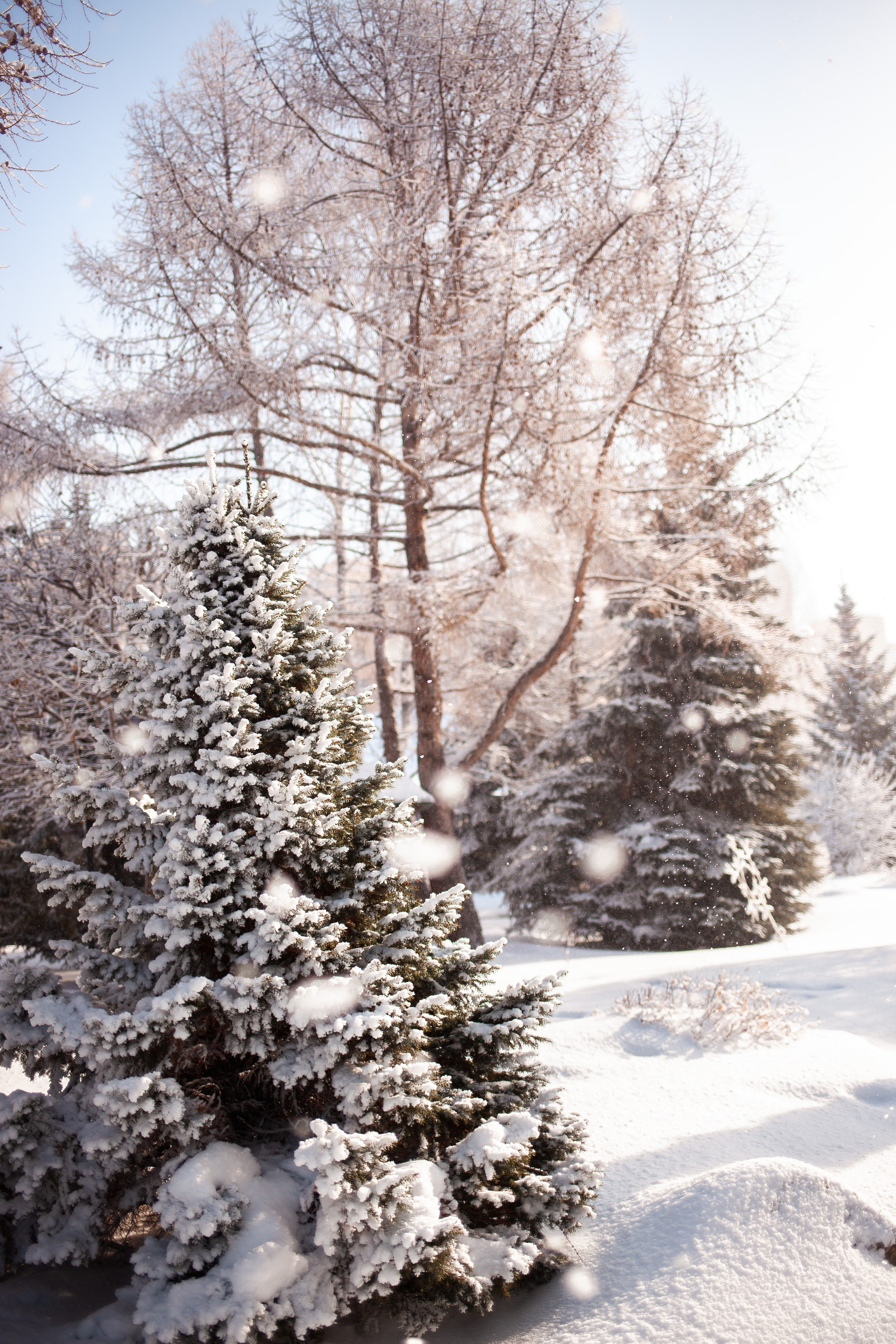 Фотосъемка природы, города, улиц. Инна Карцева Свадебный фотограф Тольятти