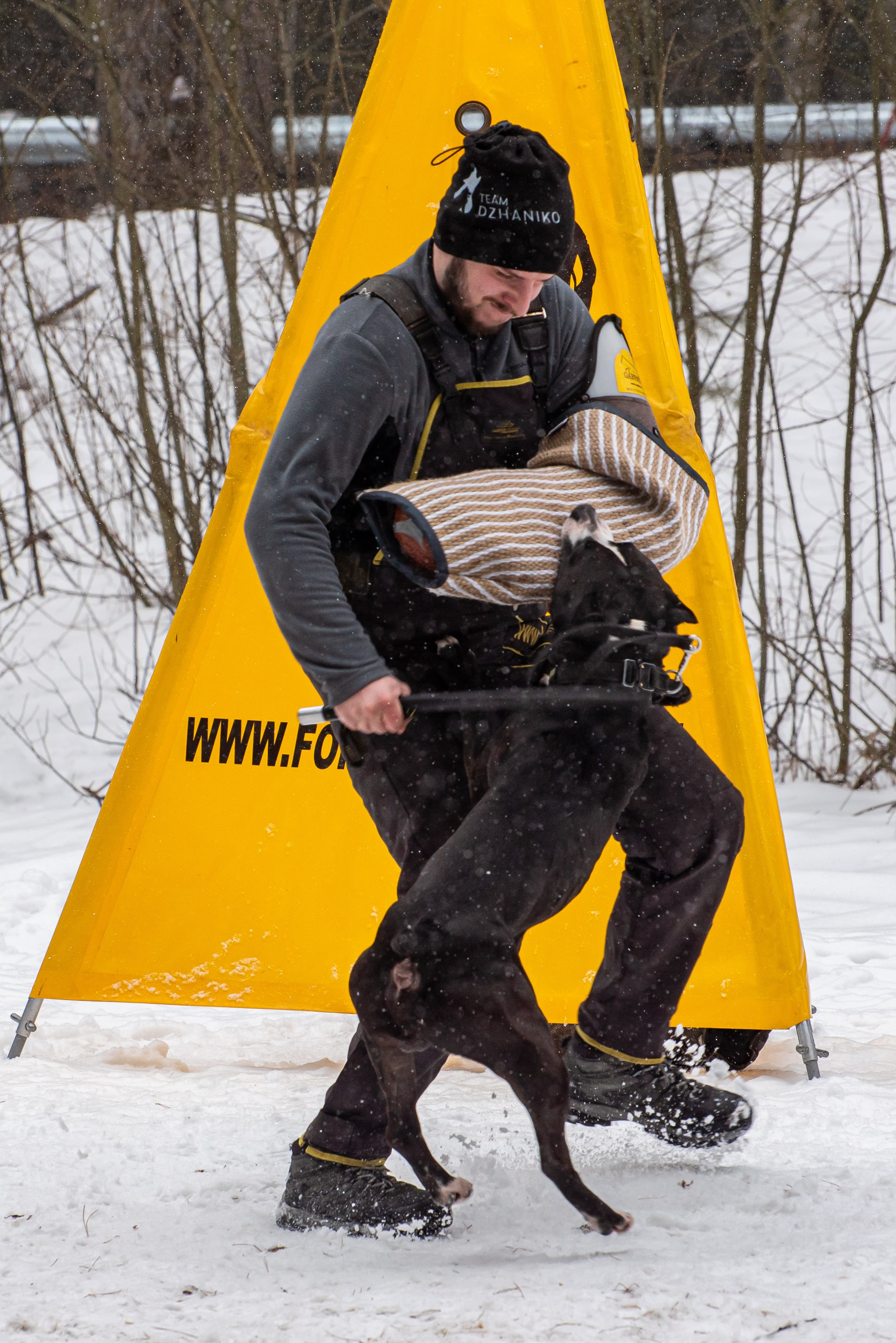 Фотосъёмка с собаками в Кинологическом лагере. Фотограф Макс Огурцов в Нижнем Новгороде