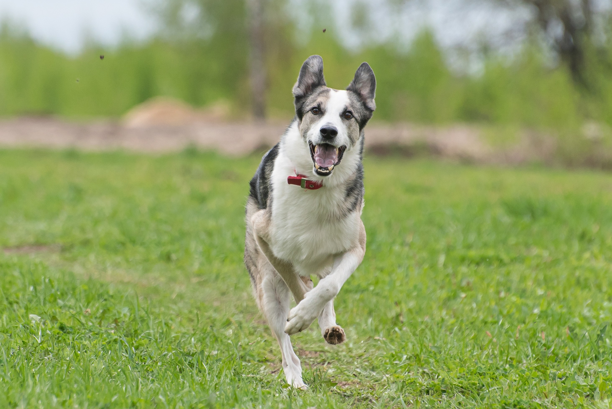 Фотографии с Курсинга. Фотограф Макс Огурцов в Нижнем Новгороде