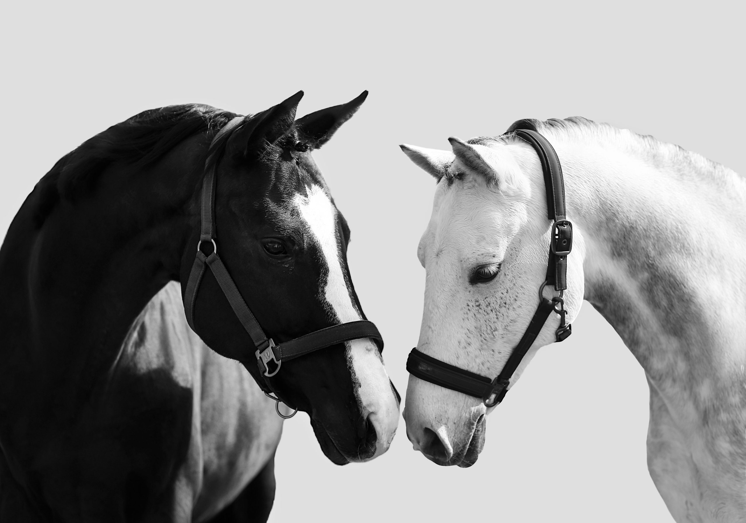 Фотограф Баринова Полина