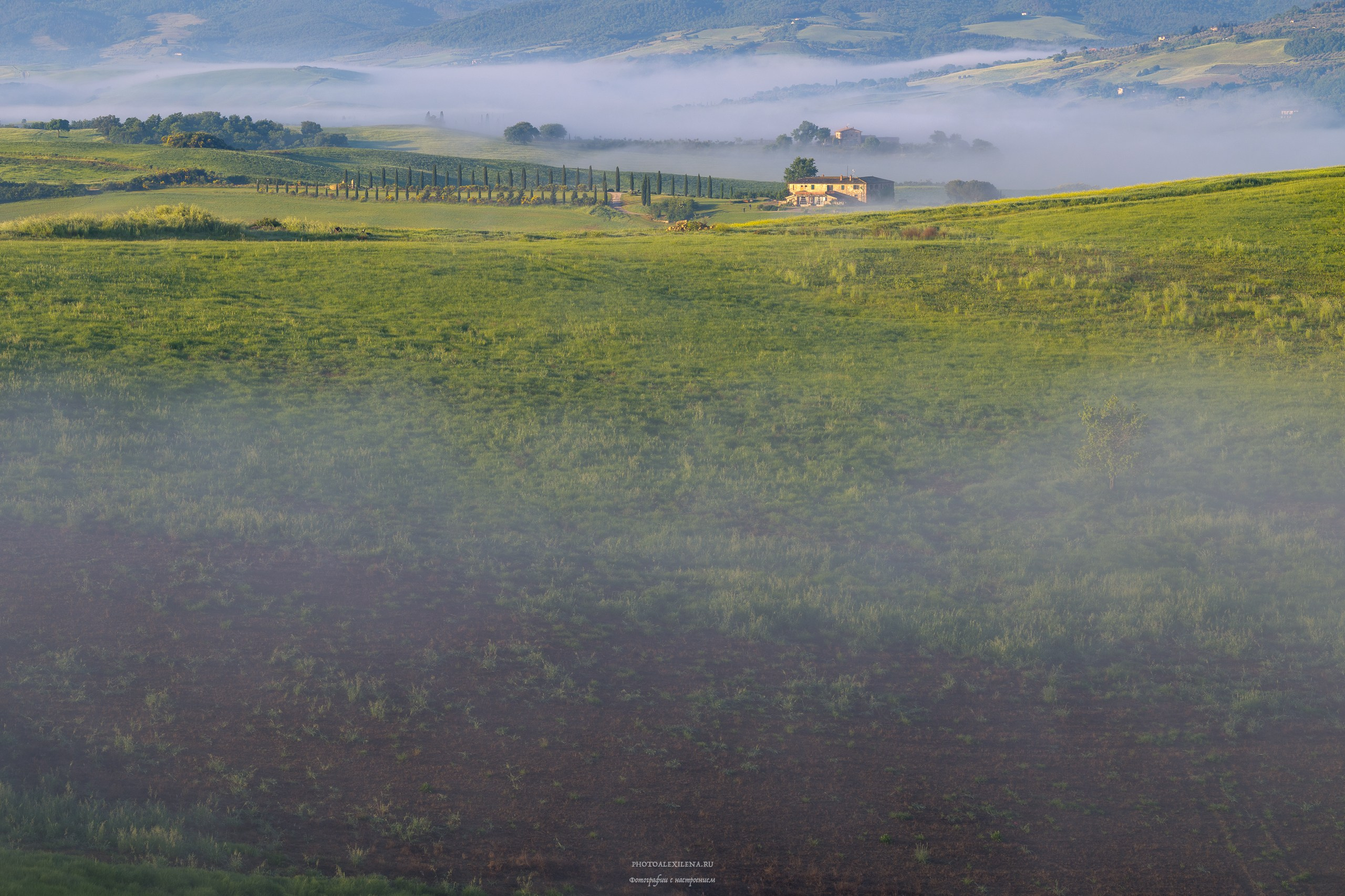 Волшебное утро в Тоскане. Авторские стильные фотокартины
