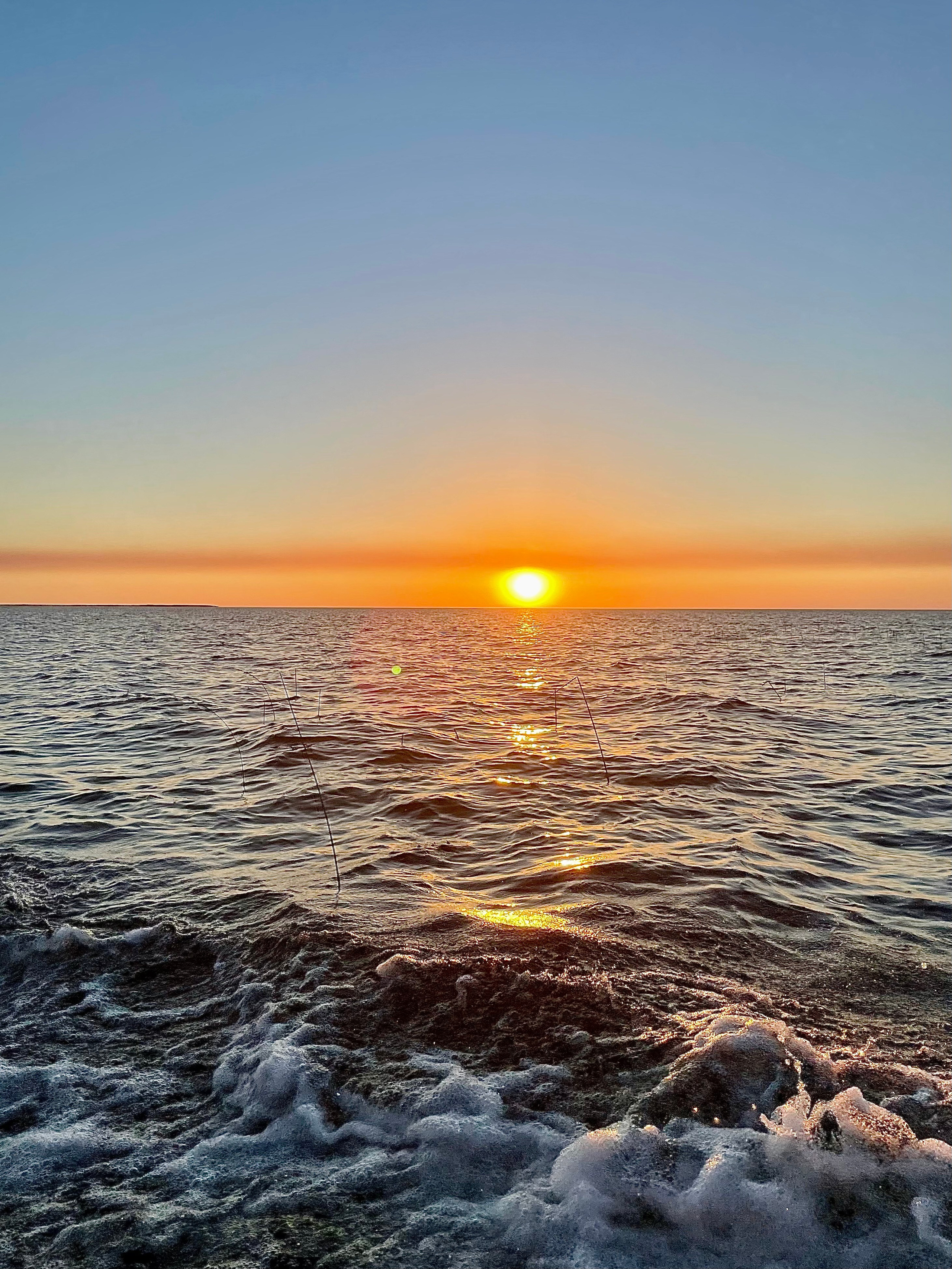 Фотограф Москва. Фотограф и художник в Москве Евгения Нюнина