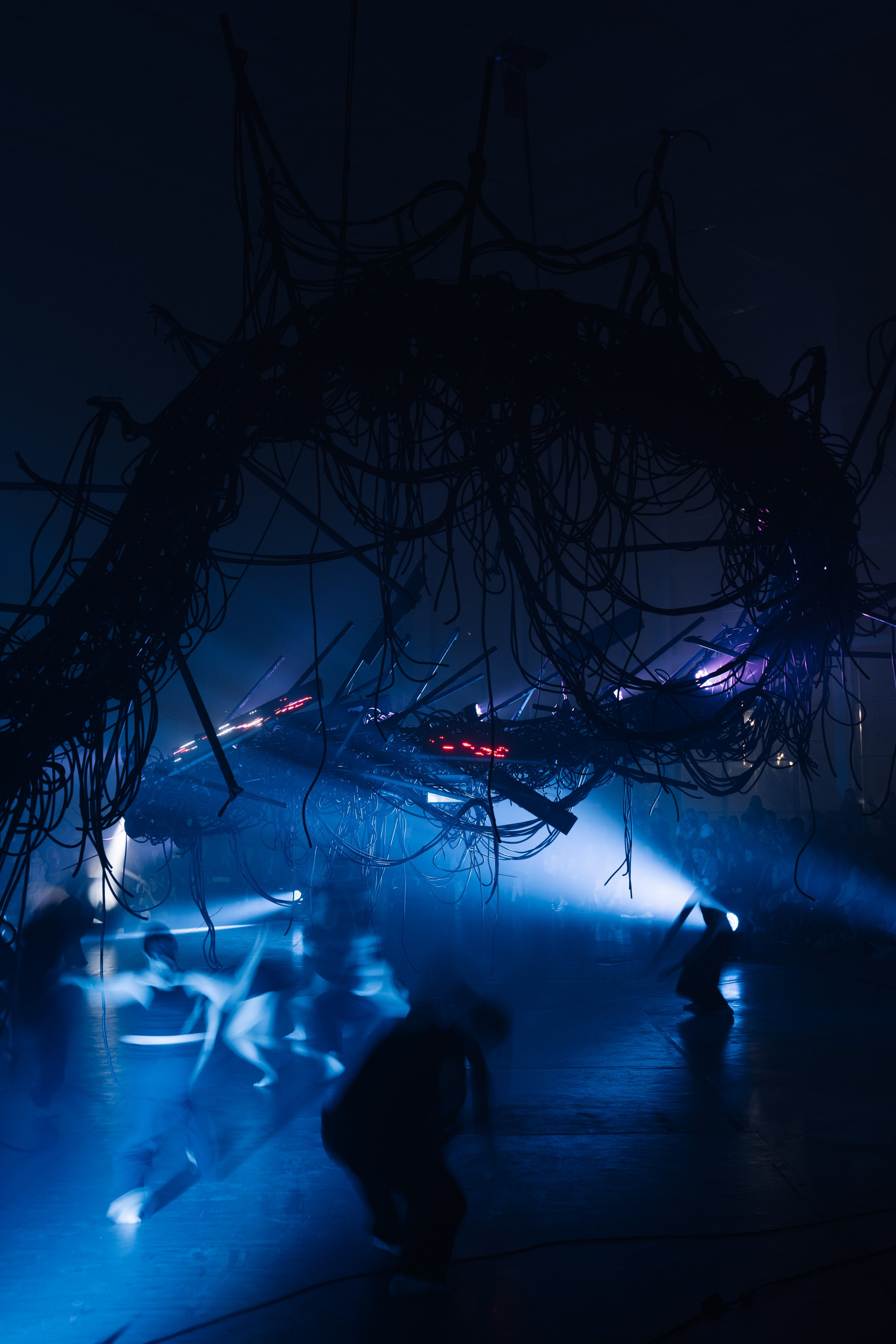 PERFORMA, The Hour of the Horse. @tomrus: Рустам Шагиморданов — фотограф