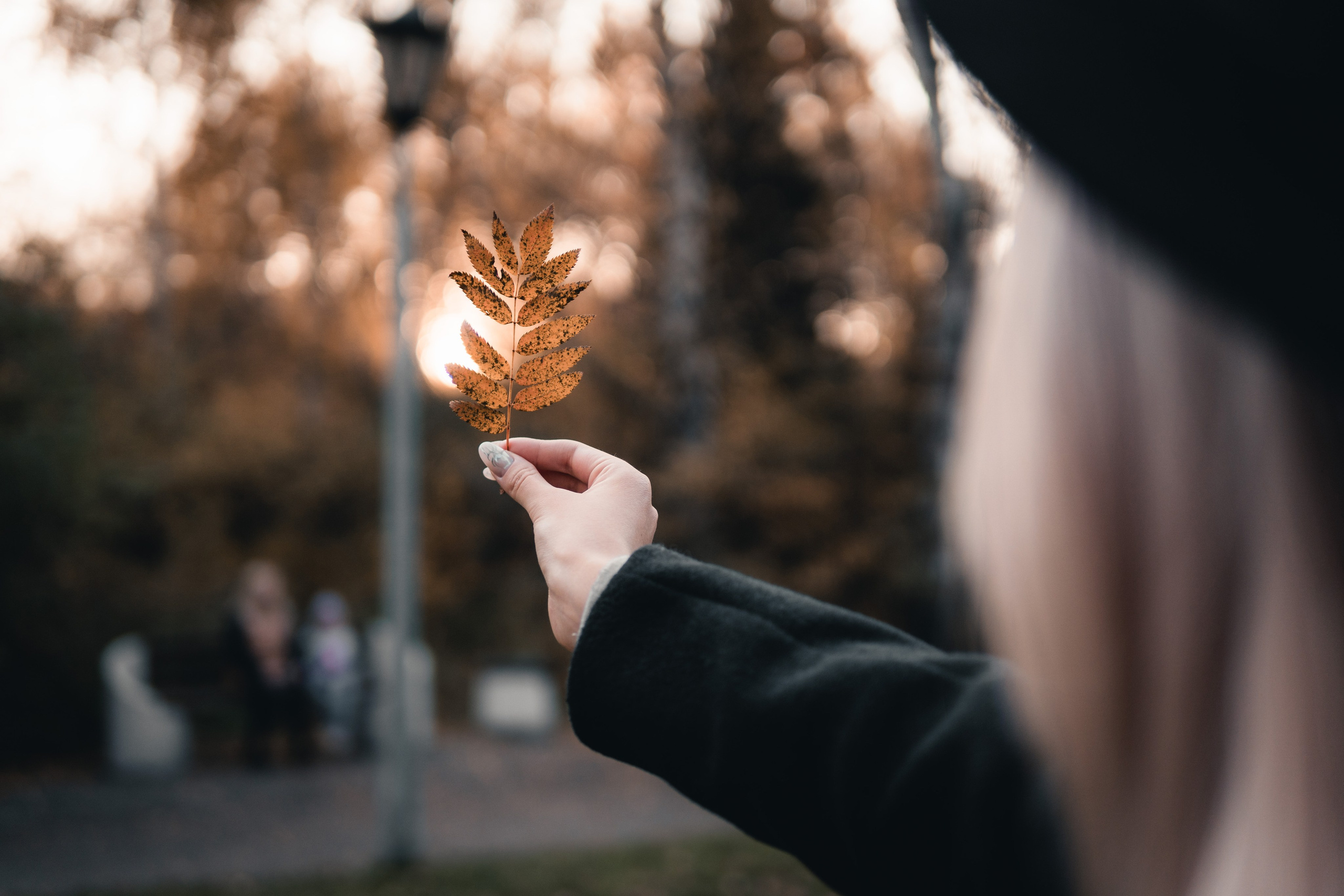 Прогулка по парку. Фотограф в Новосибирске