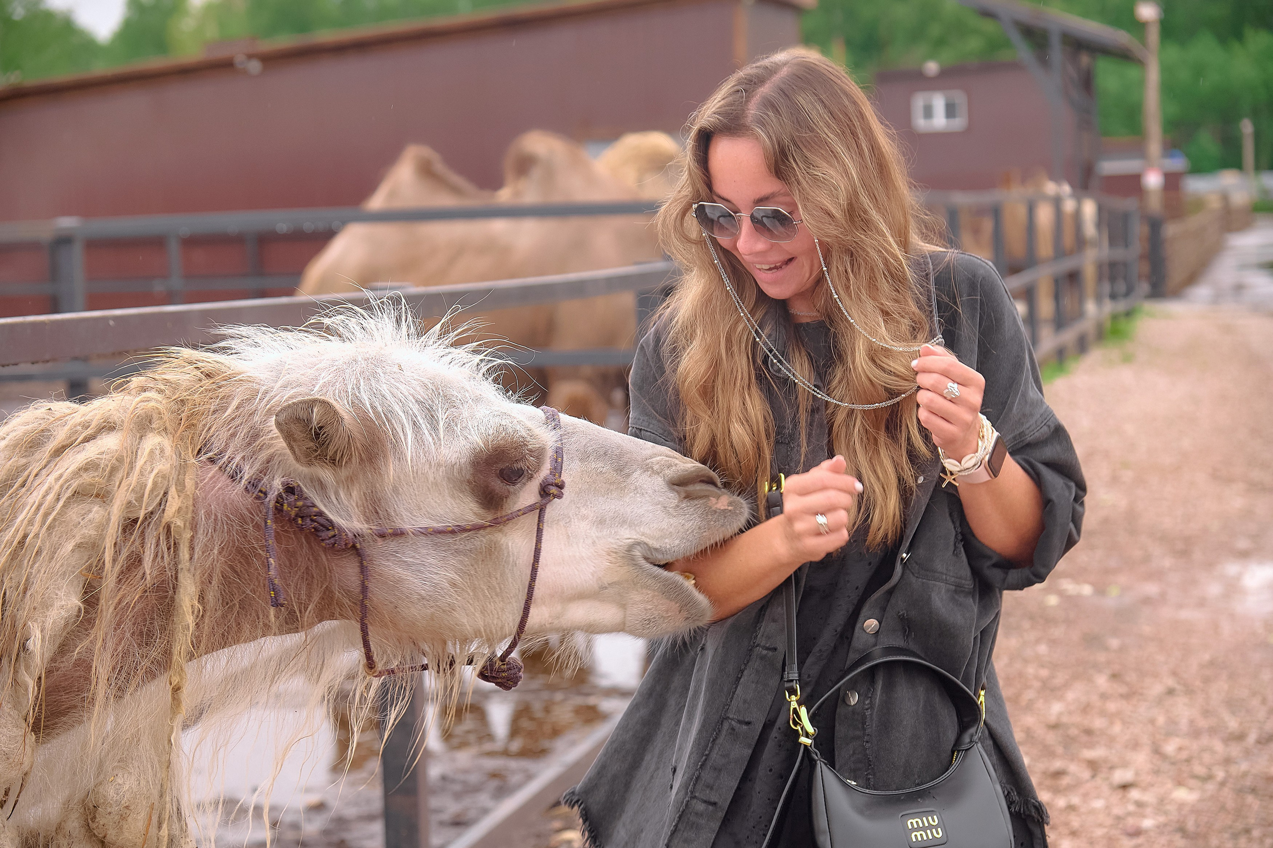 Ранчо «Шарье». Сеть магазинов «Калина-Малина». Фотограф Яковлев Роман — Красноярск