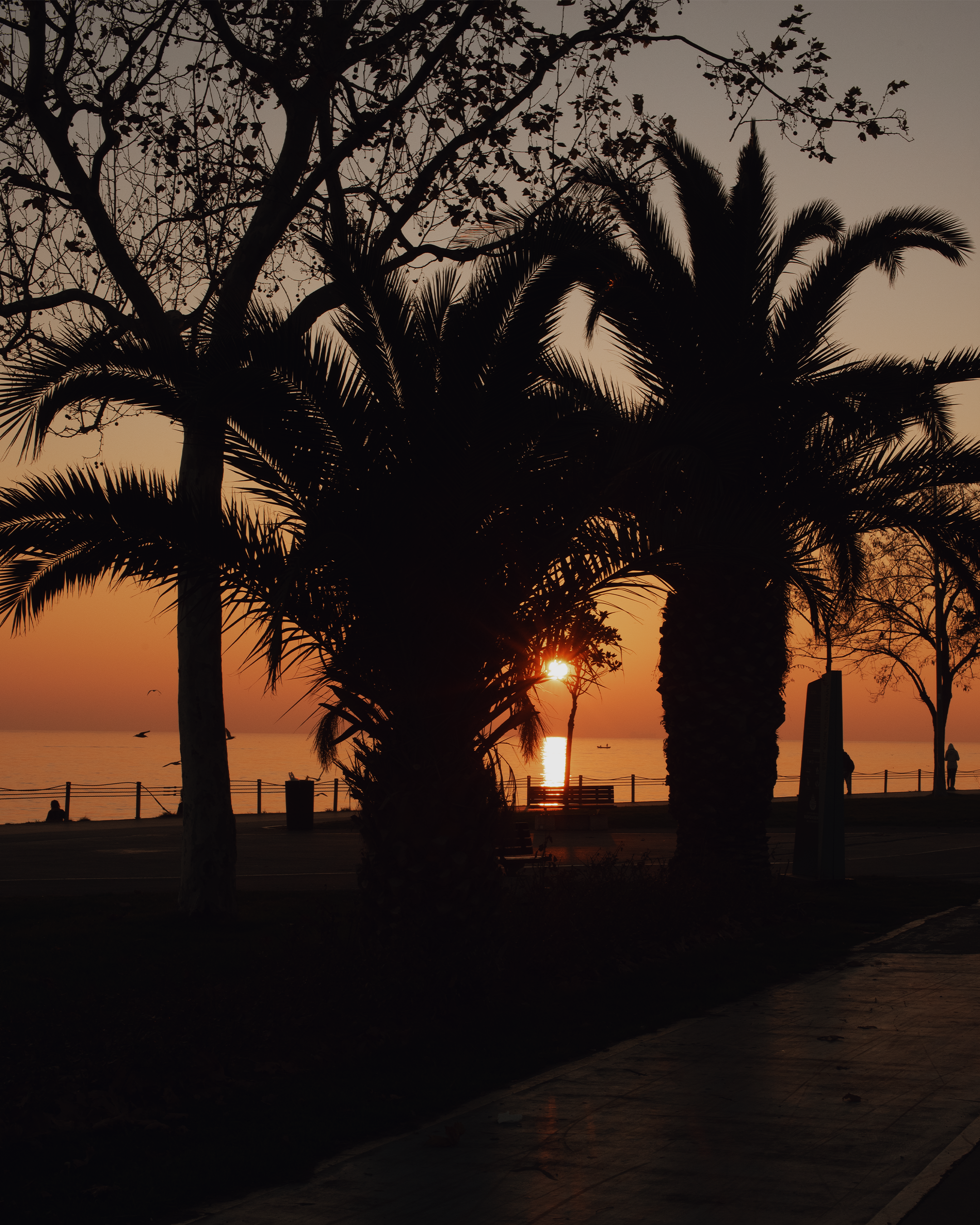 Стамбул в кадре: взгляд рекламного фотографа из Гуанчжоу. Коммерческий и предметный фотограф в Гуанчжоу Коваленко Александр