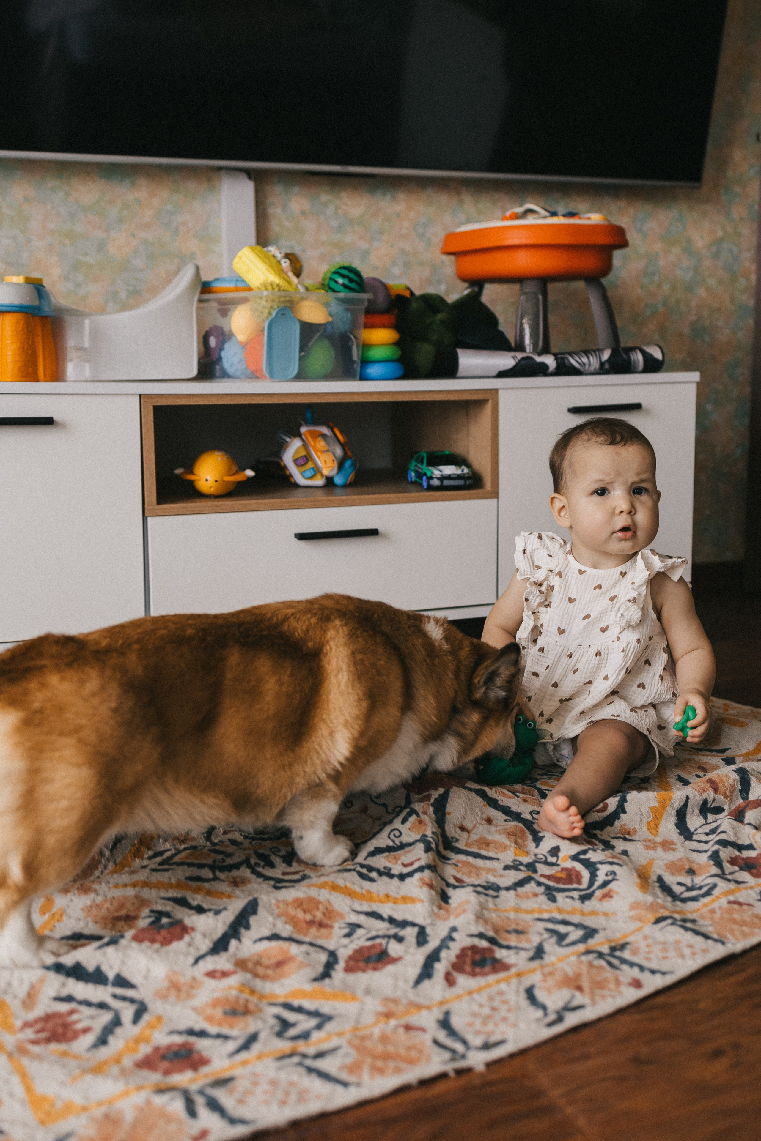 Адель, Настя и Диана. Домашняя. Фотограф Нижний Новгород