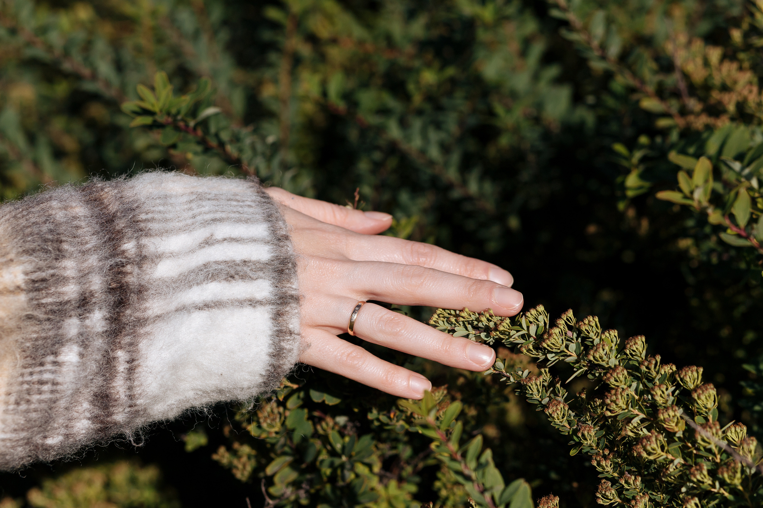 ЮЛЯ. Семейный и свадебный фотограф в Петербурге Евгения и Николай Шевчук