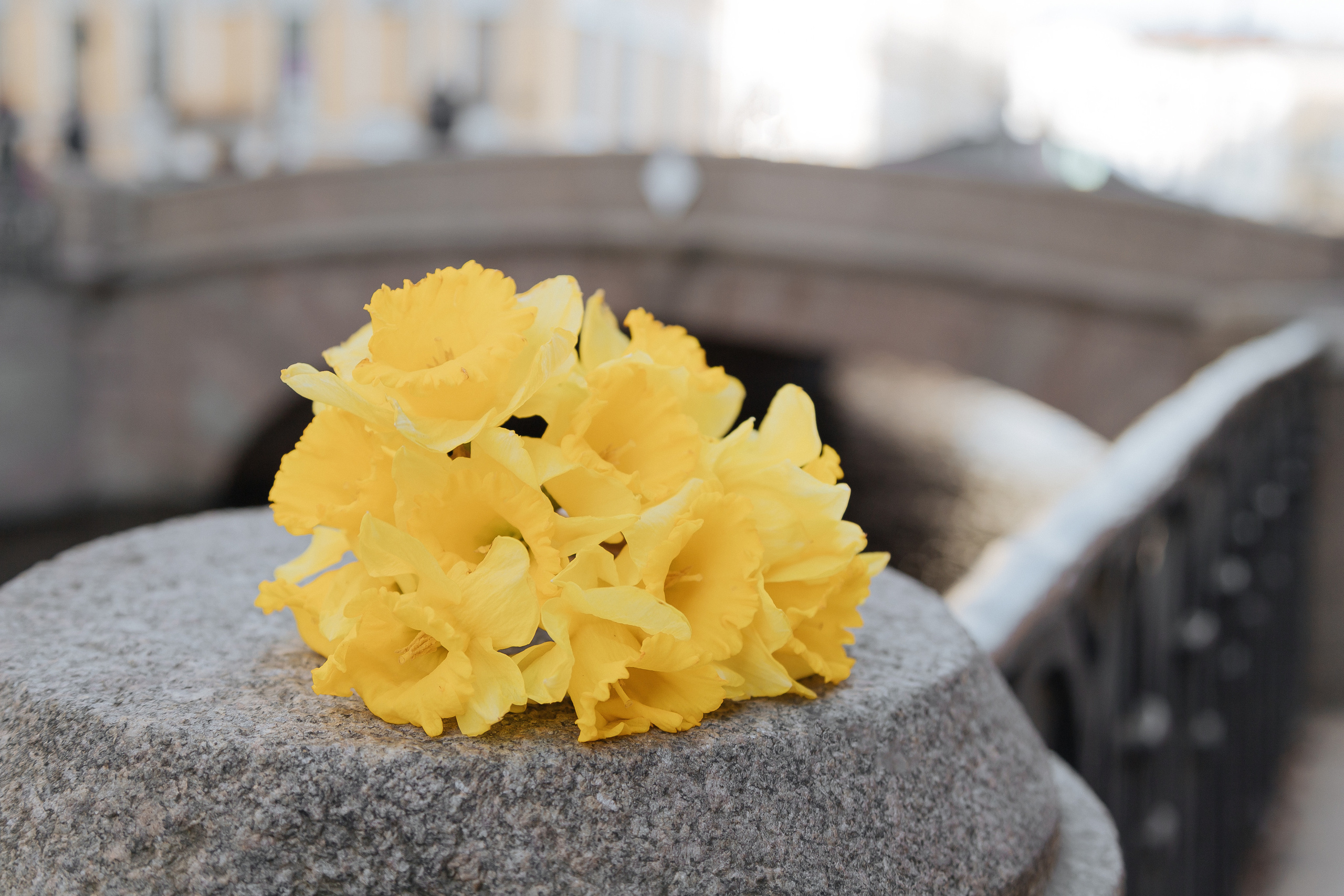 Дима и Оля. Семейный и свадебный фотограф в Петербурге Евгения и Николай Шевчук