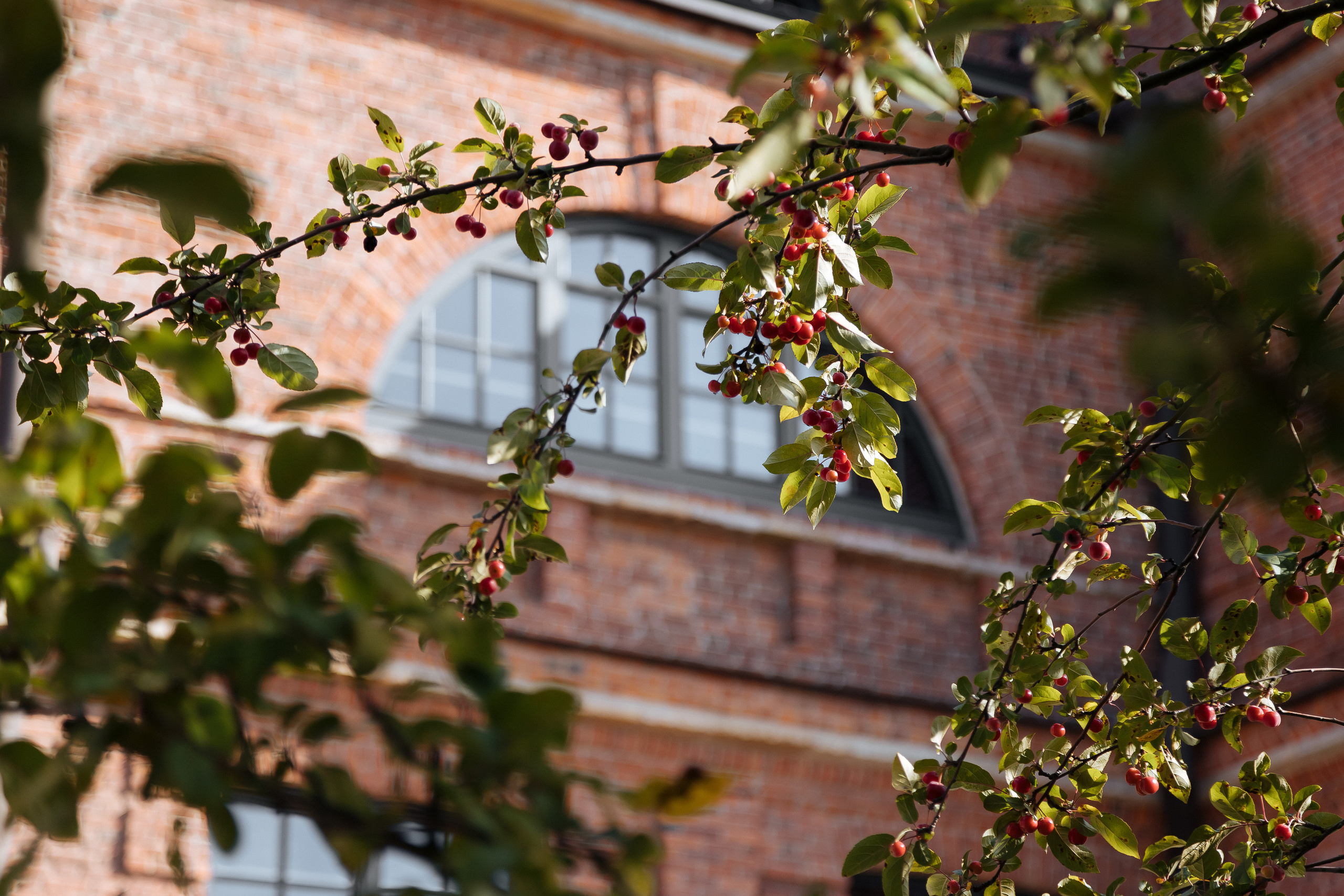 Юля. Семейный и свадебный фотограф в Петербурге Евгения и Николай Шевчук