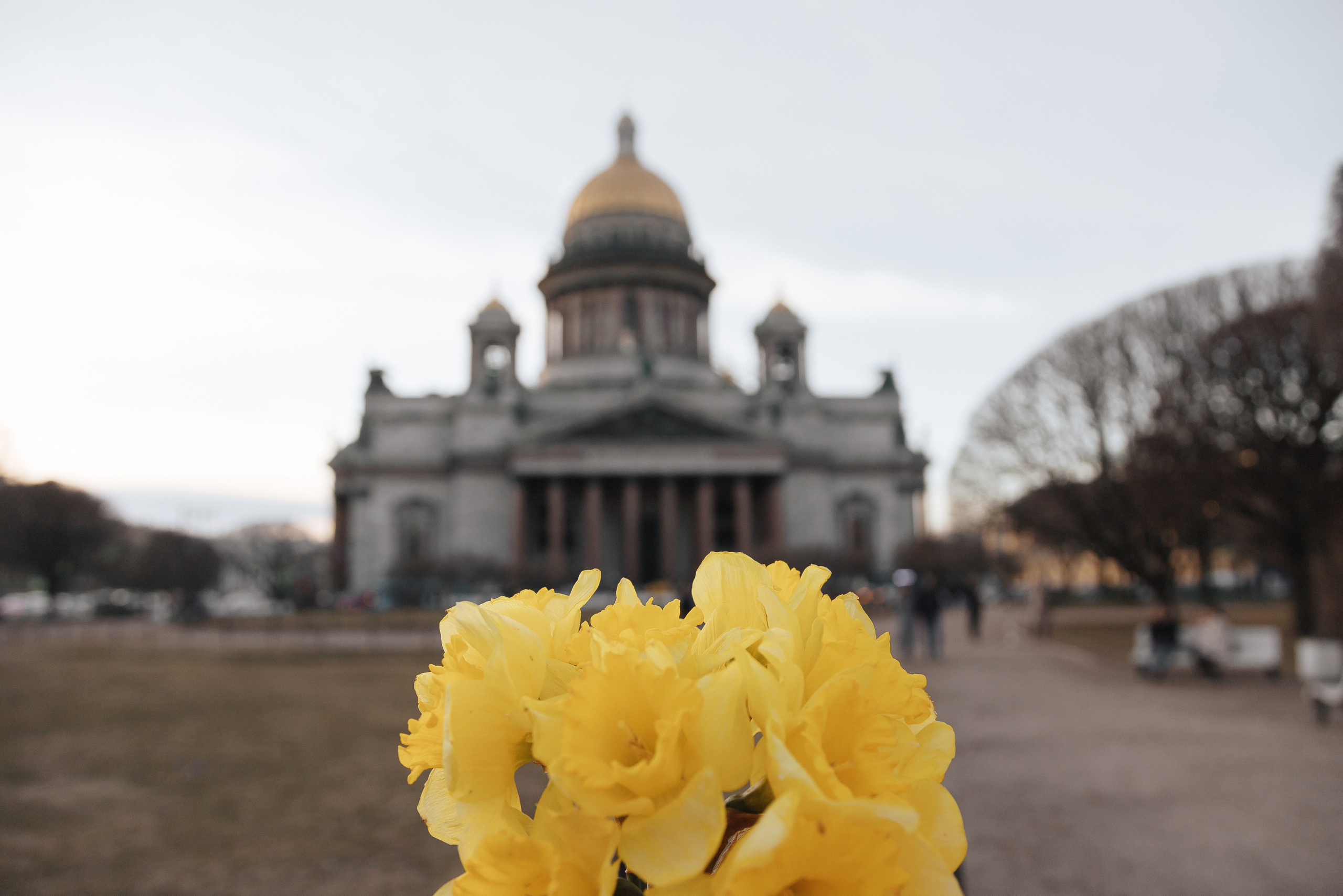 ДИМА И ОЛЯ. Семейный и свадебный фотограф в Петербурге Евгения и Николай Шевчук