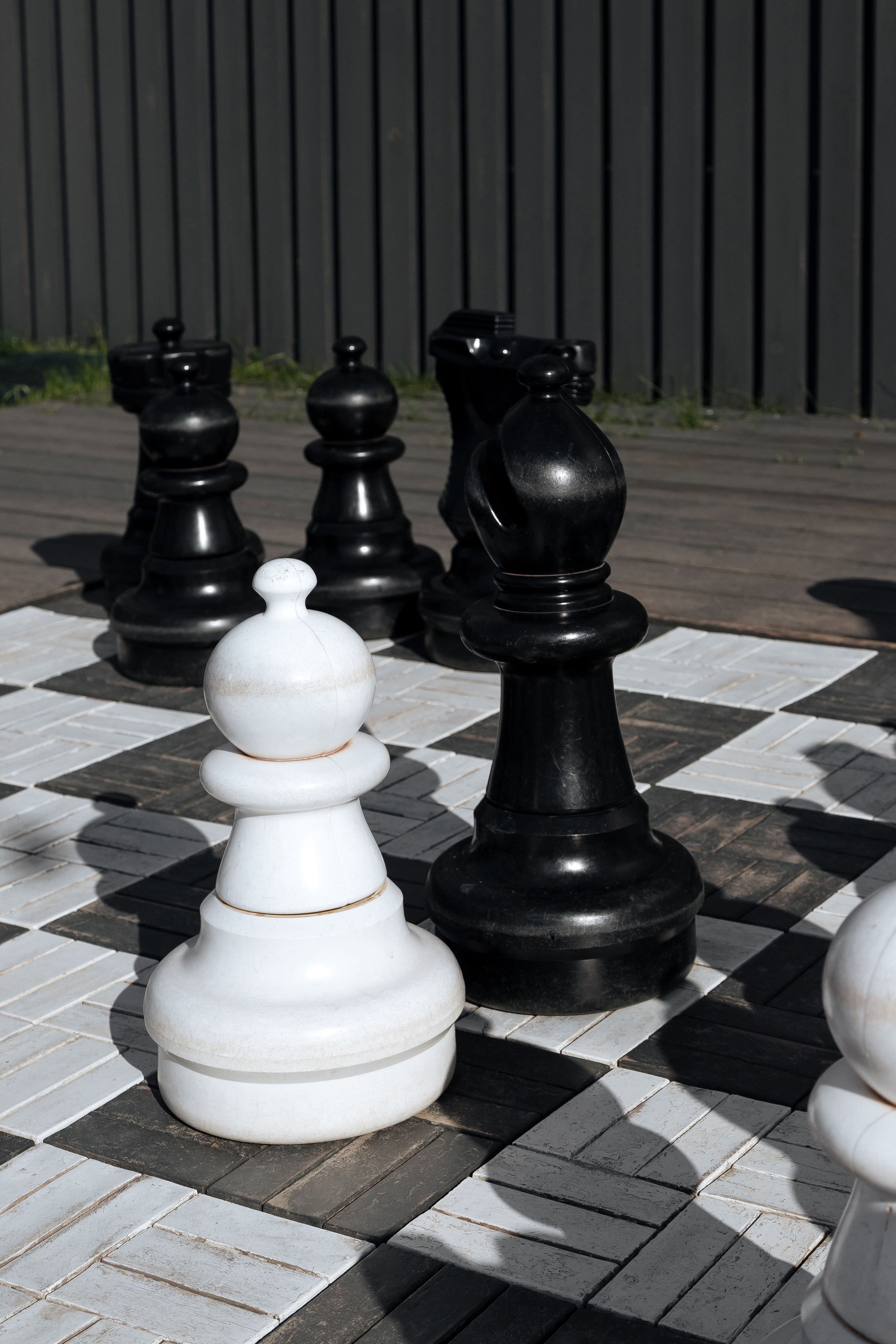 ЮЛЯ. Семейный и свадебный фотограф в Петербурге Евгения и Николай Шевчук