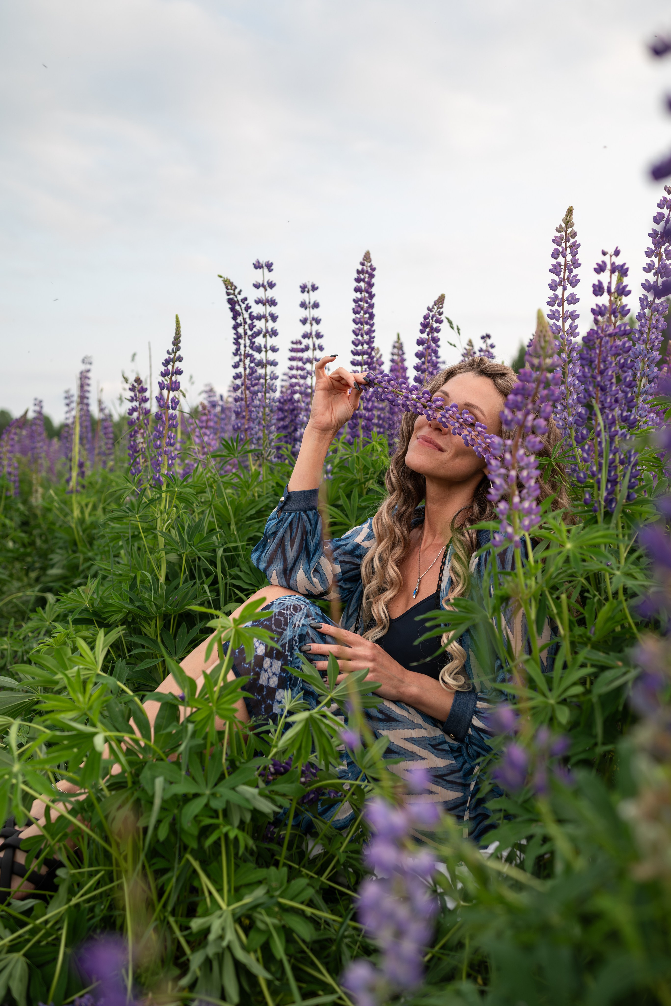 Люпины. Светлана Агалакова Фотограф