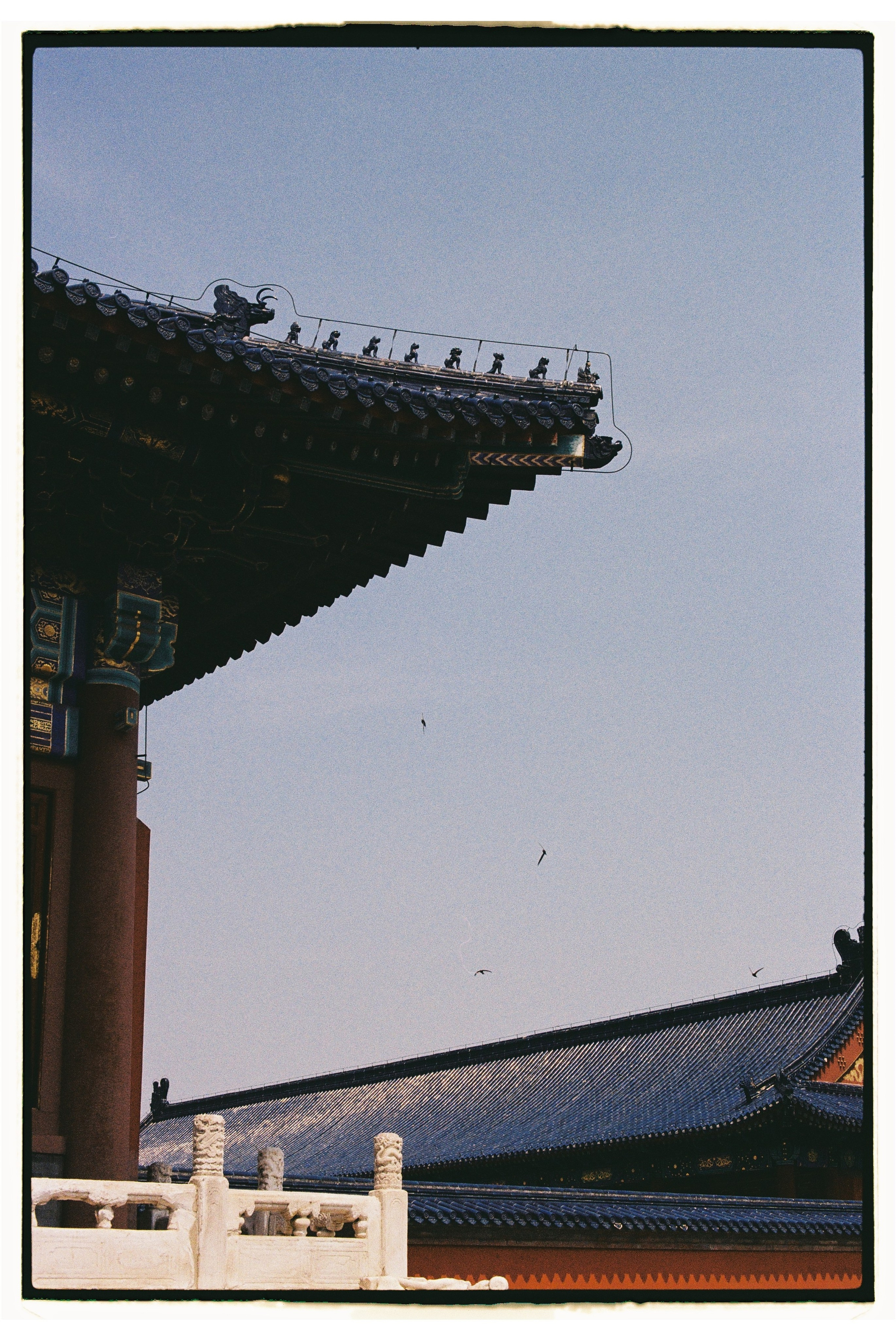 Asia. Olya Filina | Moscow Photographer